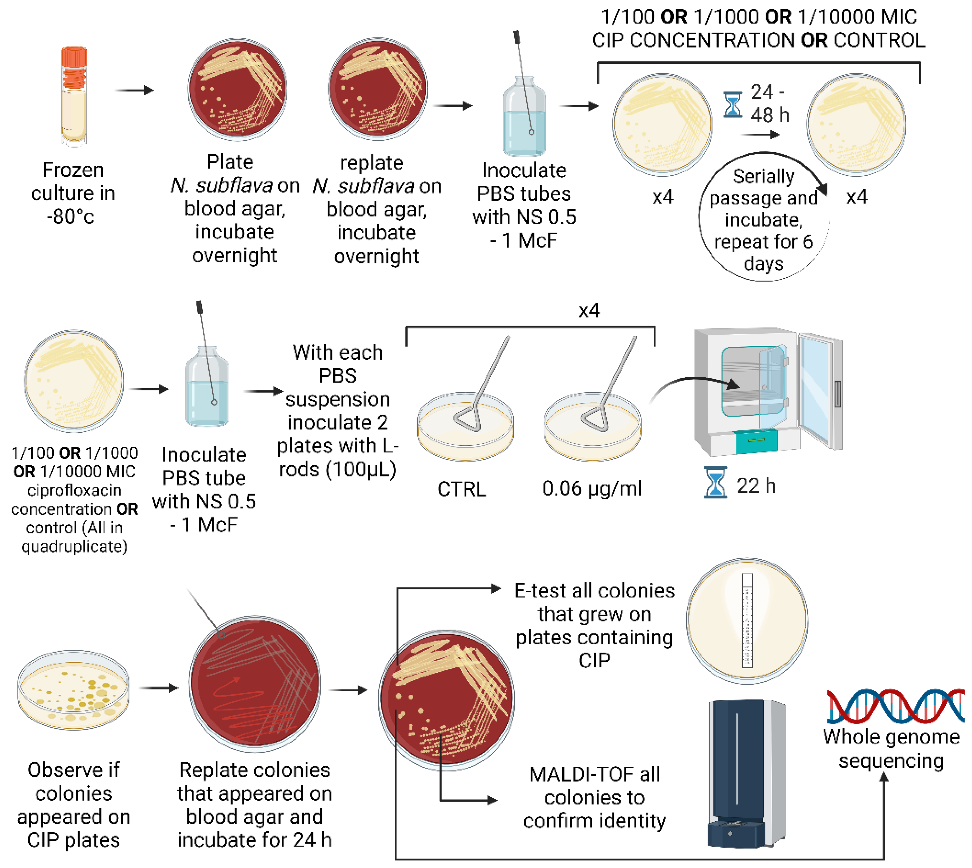 Preprints 107270 g001