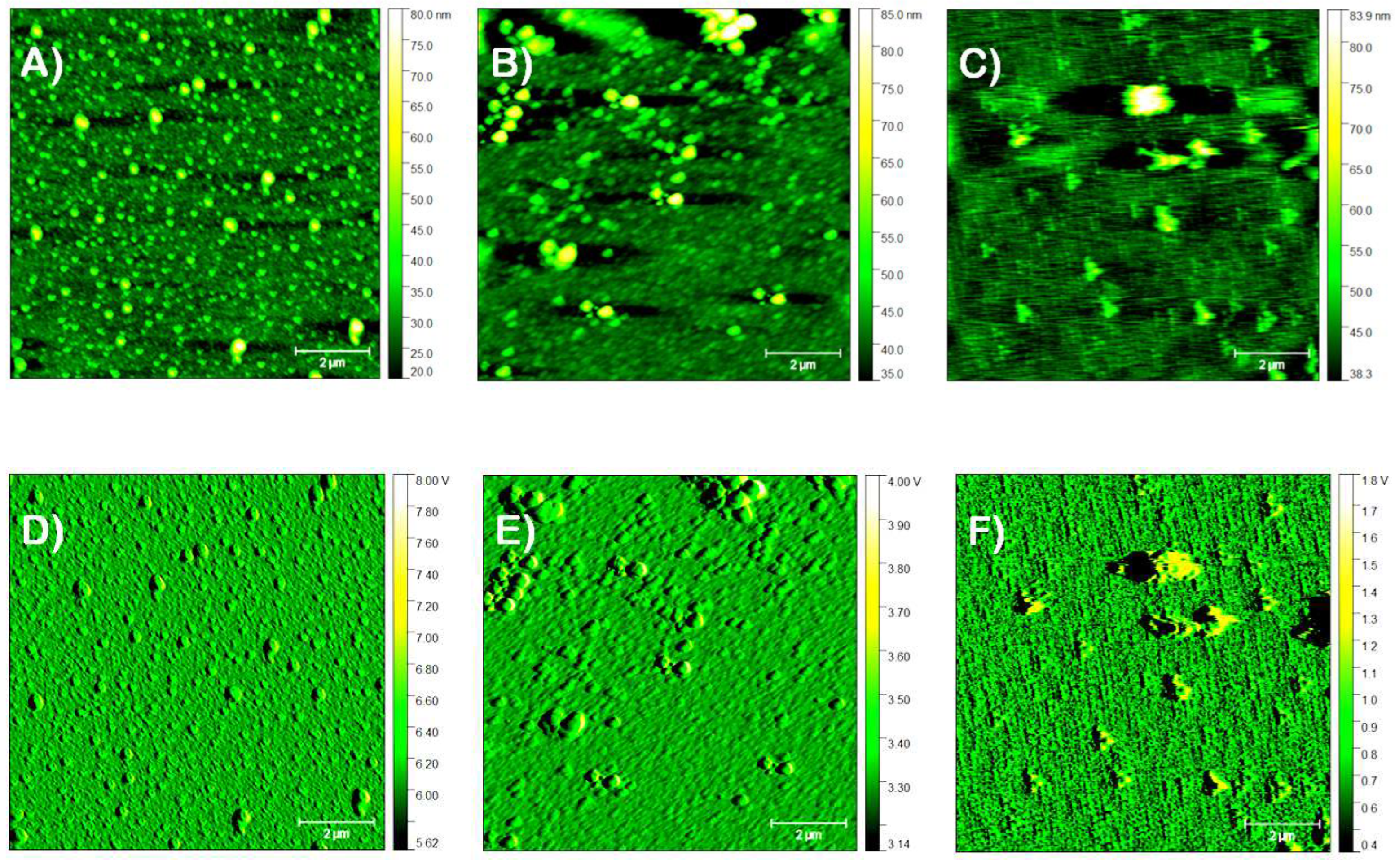 Preprints 68542 g004