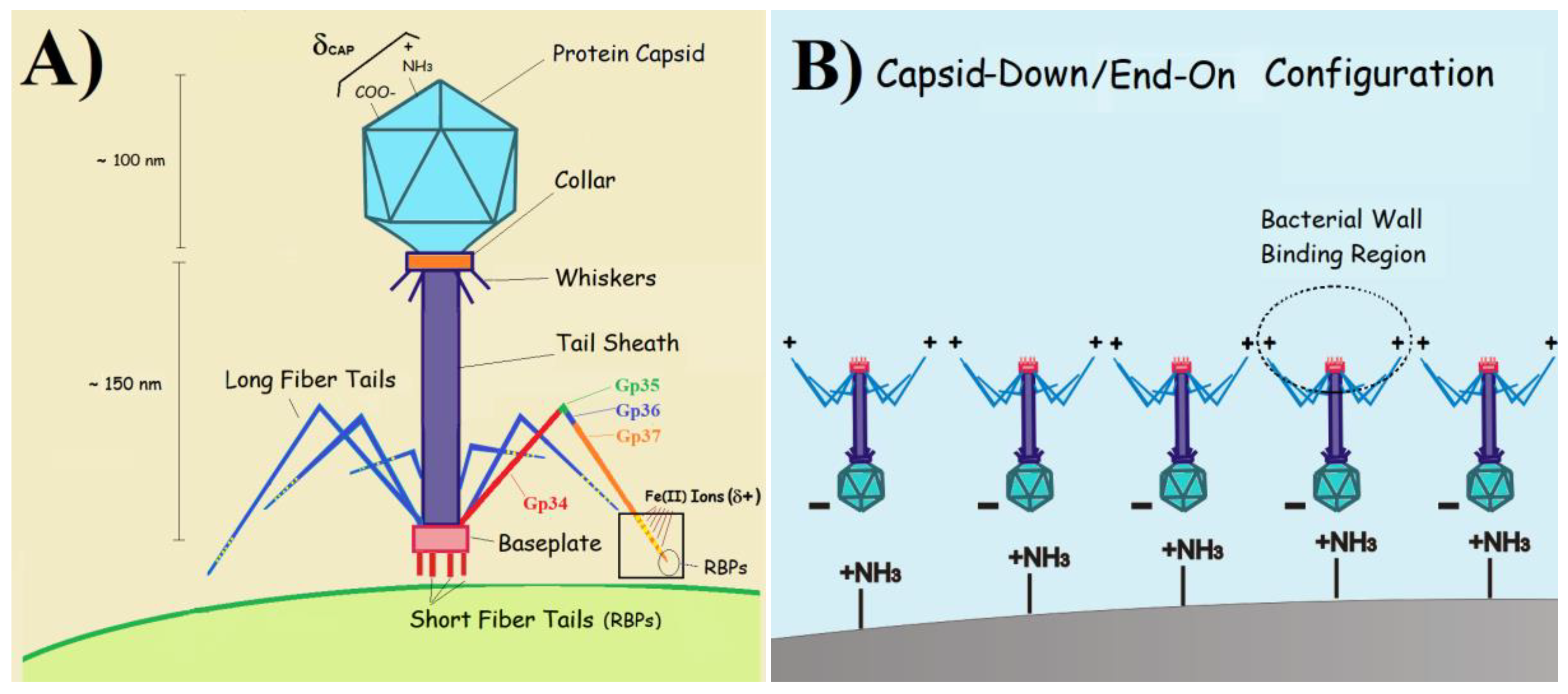 Preprints 68542 sch001