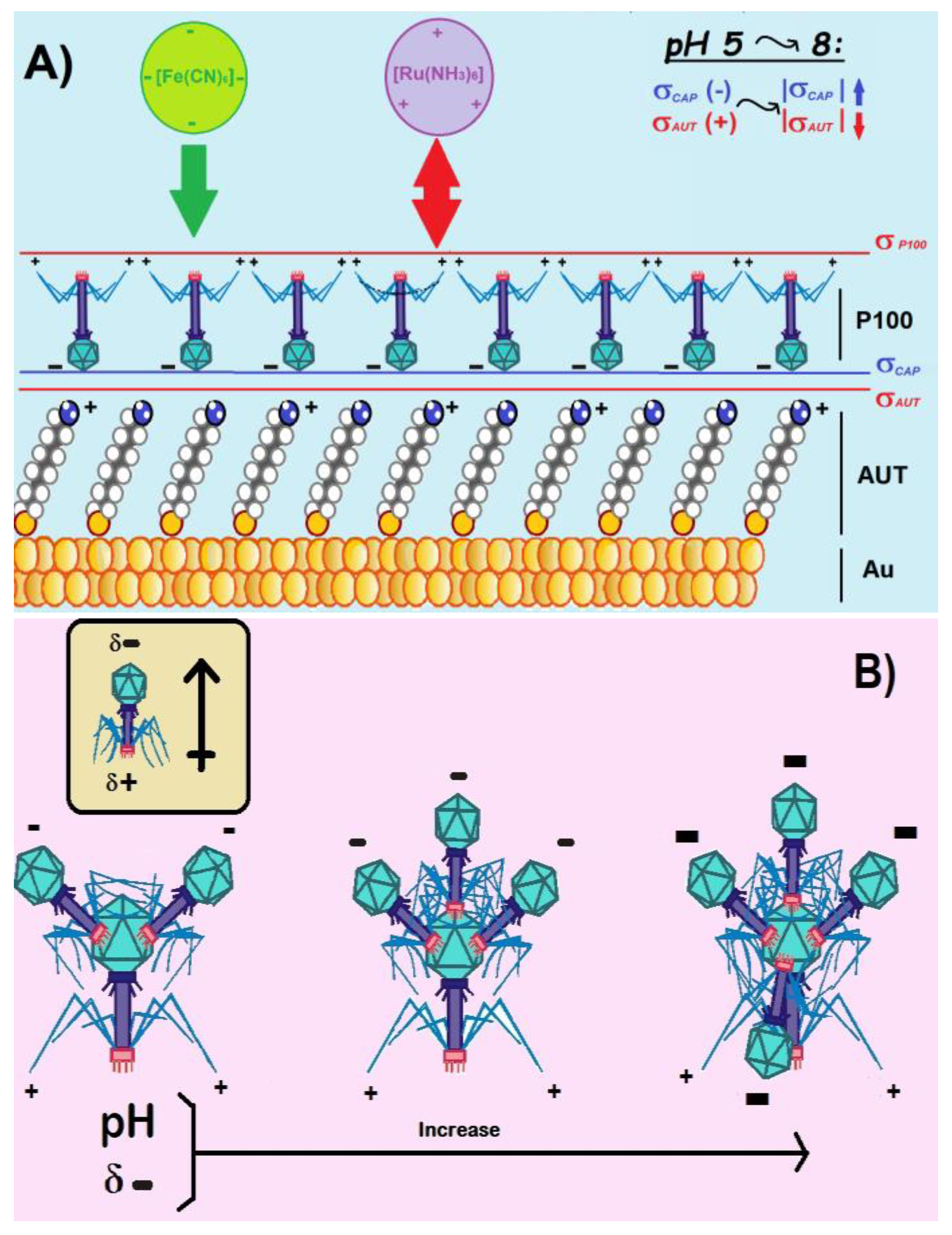 Preprints 68542 sch002