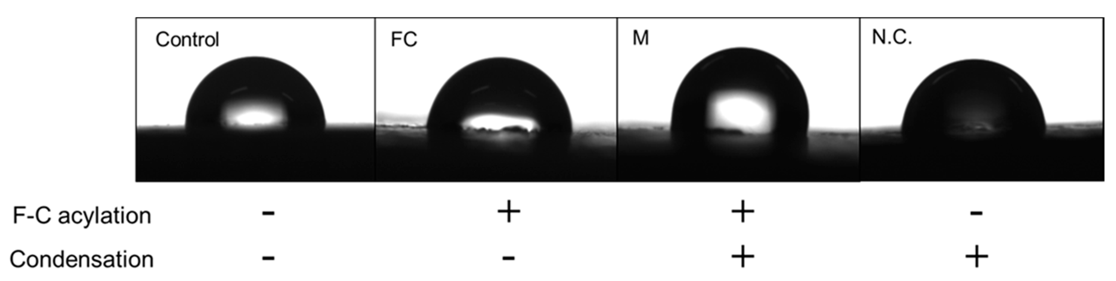 Preprints 85948 g004