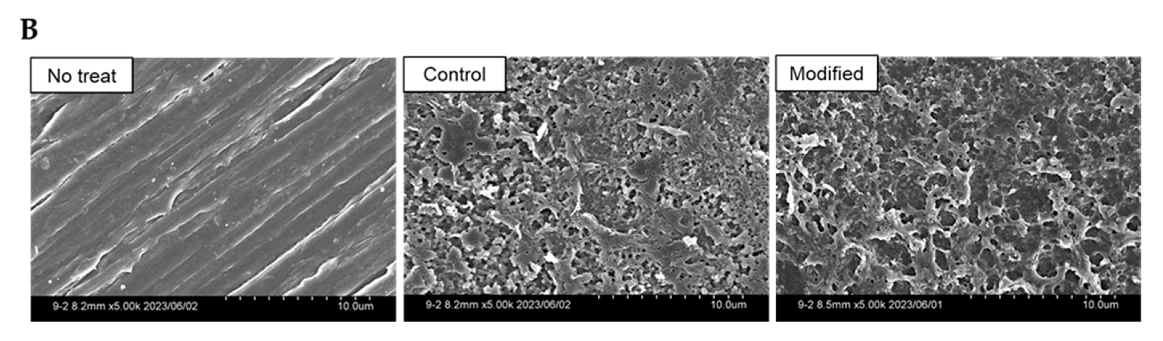 Preprints 85948 g005b