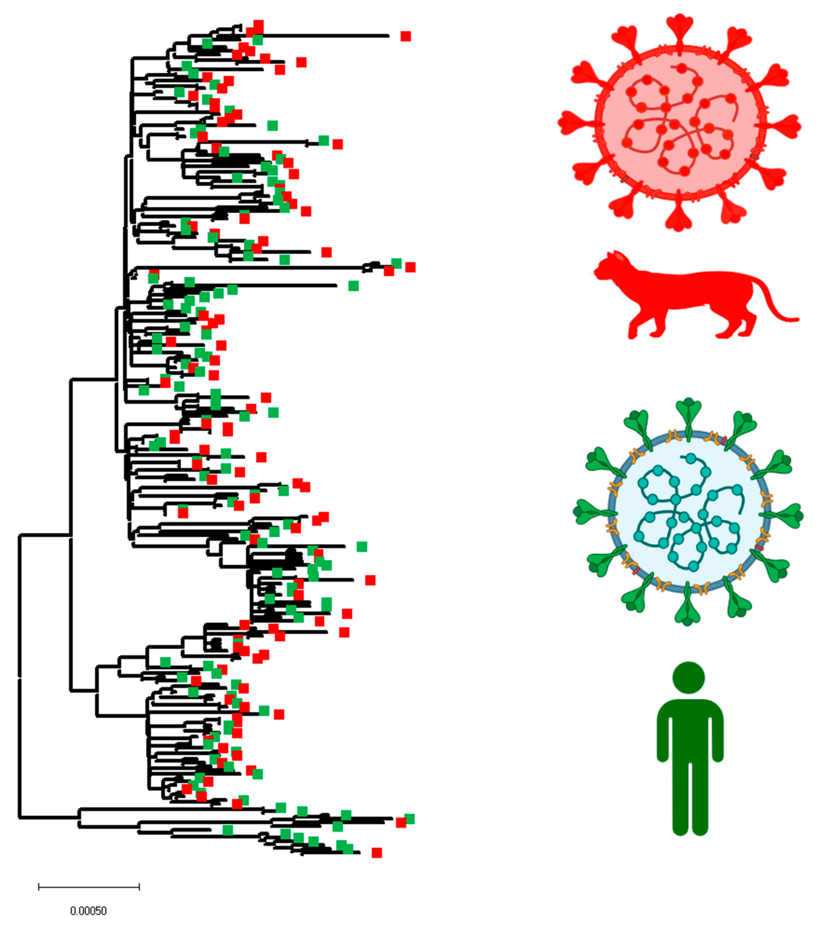 Preprints 87211 g005