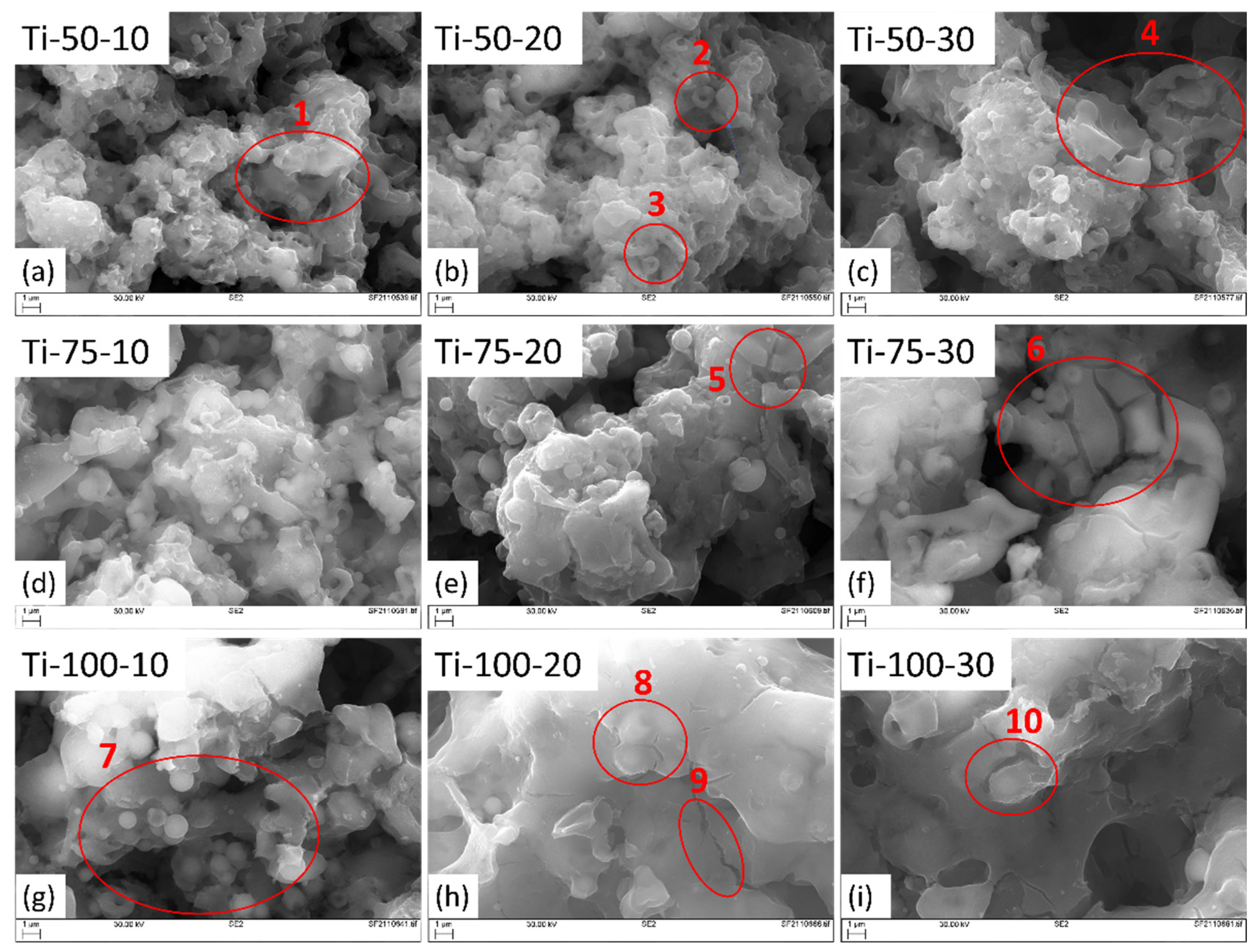 Preprints 88549 g002