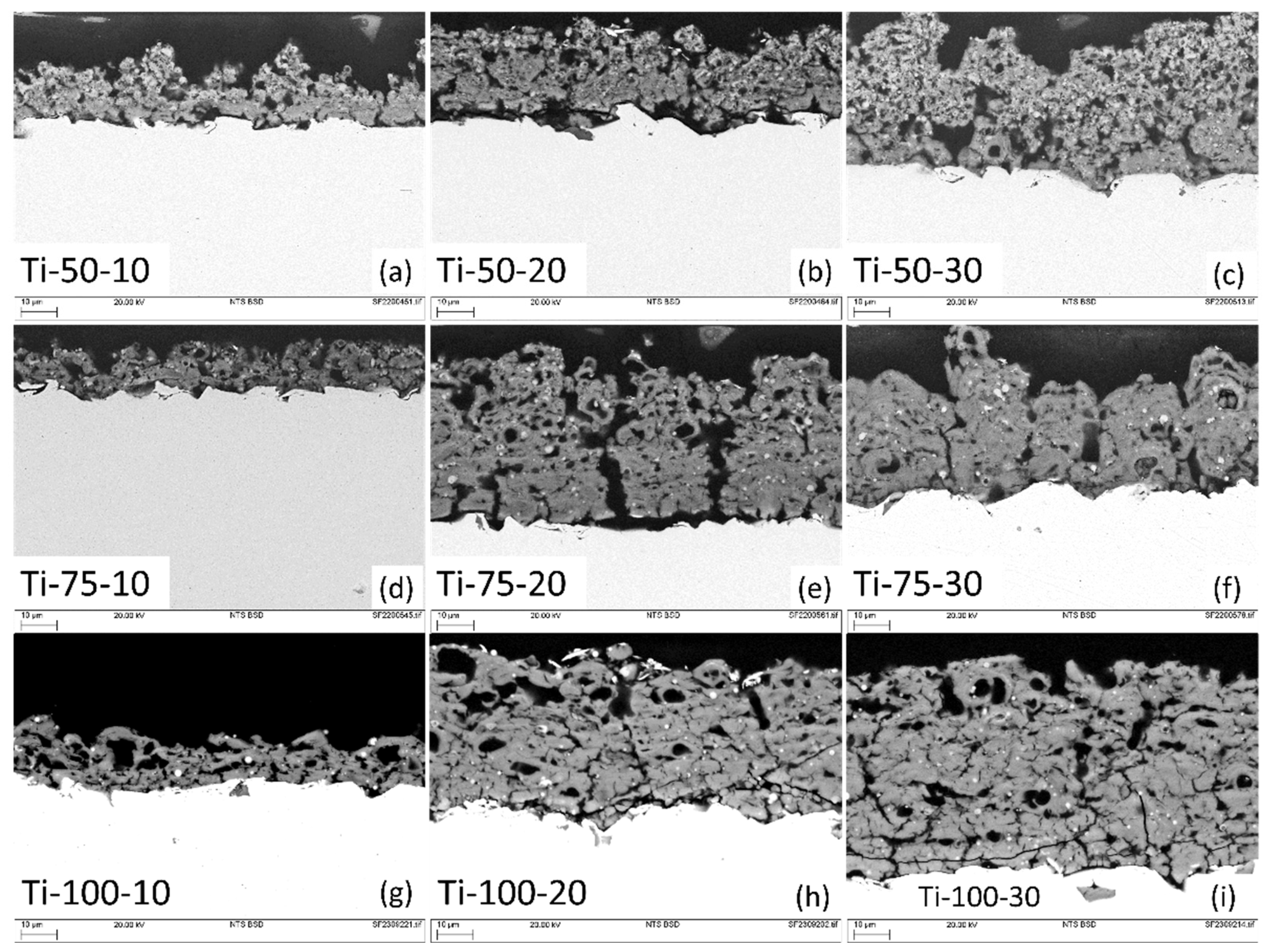 Preprints 88549 g004