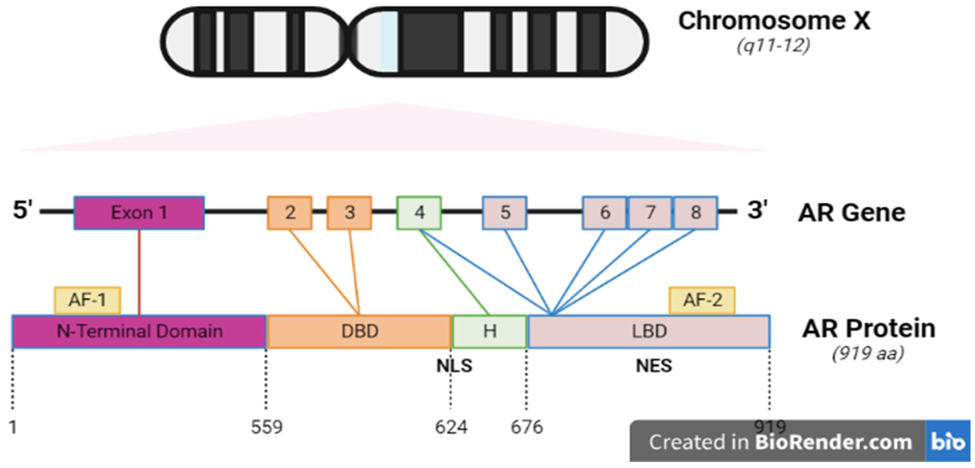 Preprints 85969 g002