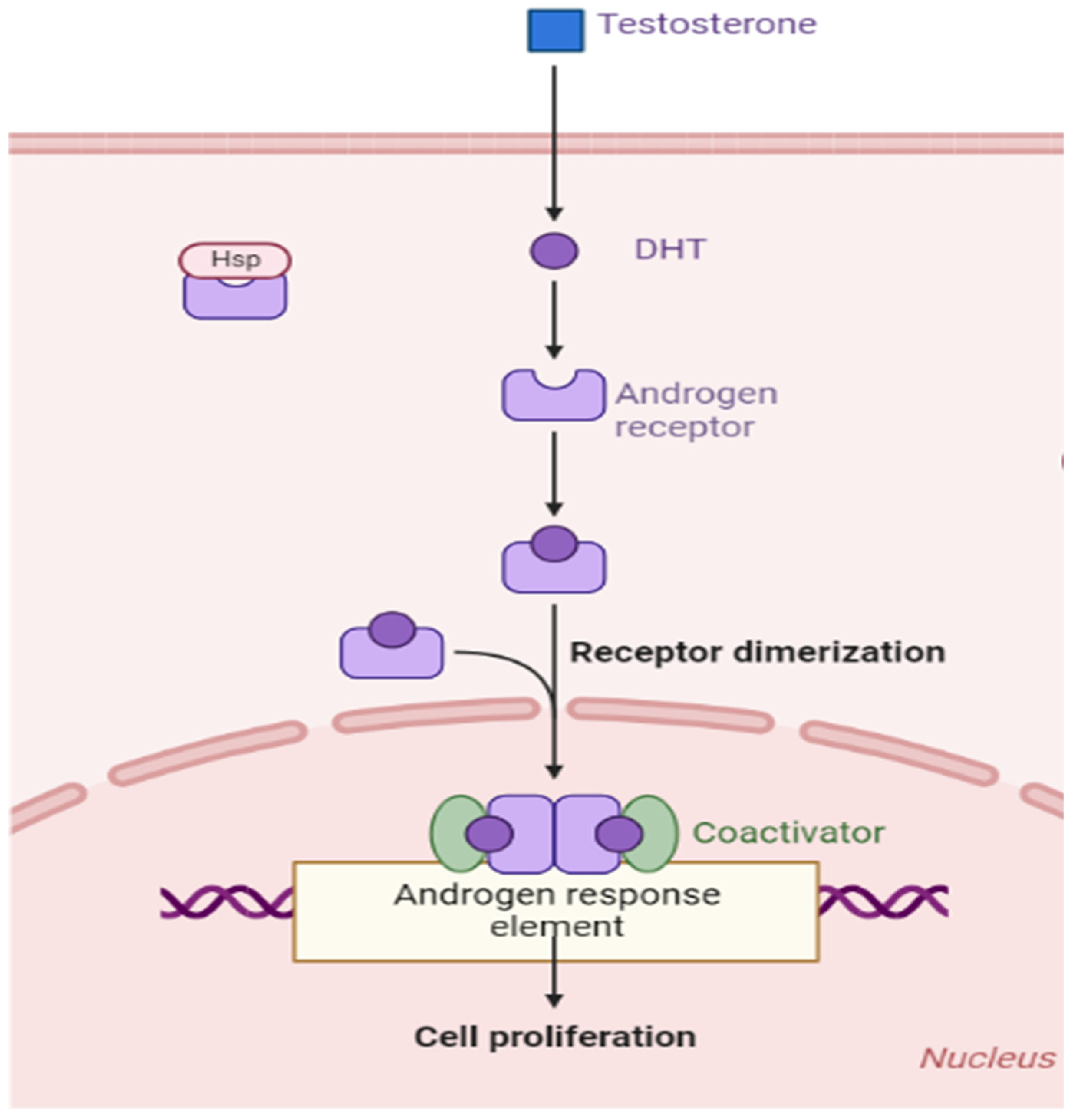 Preprints 85969 g005