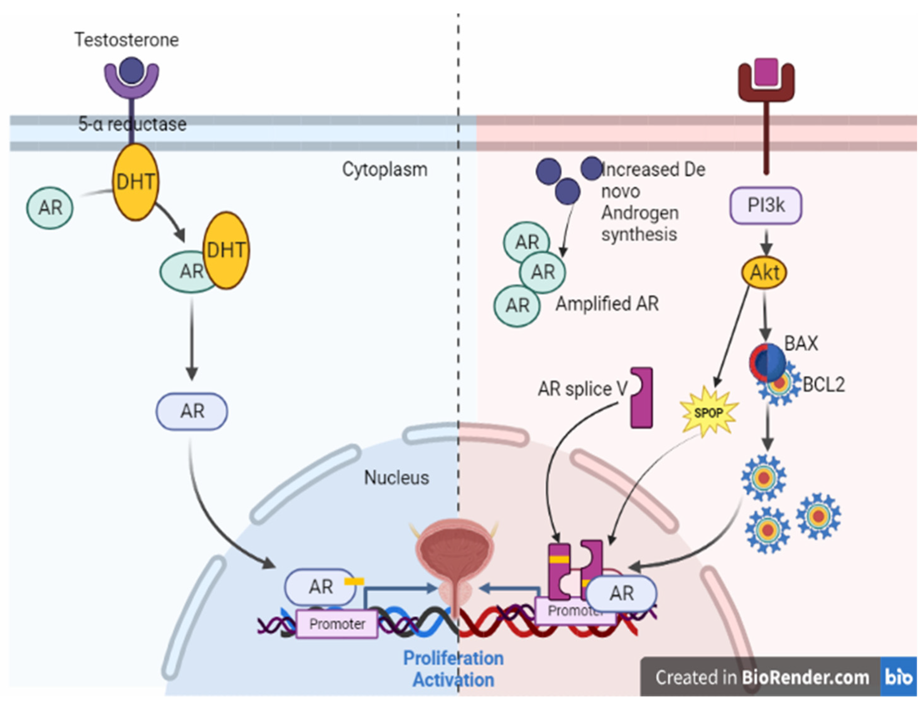 Preprints 85969 g006