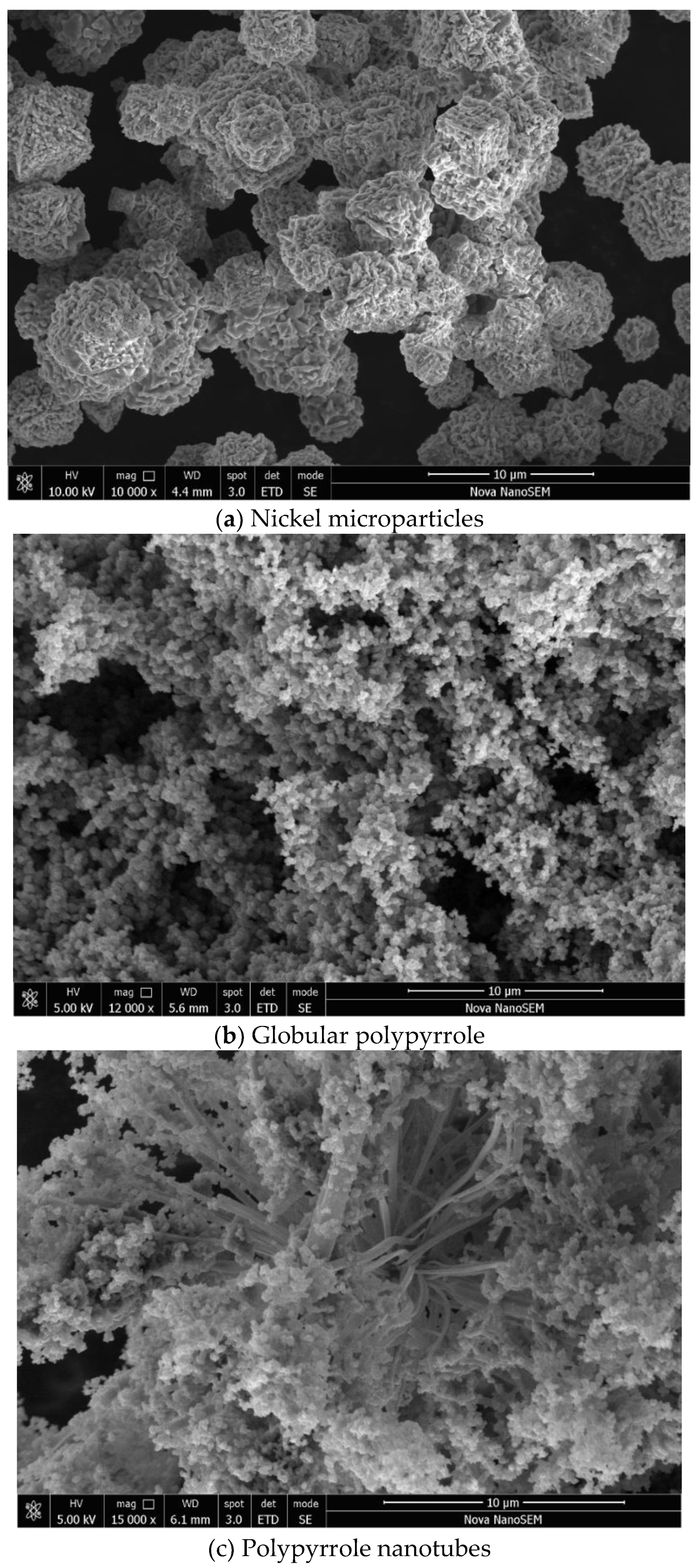 Preprints 91405 g002