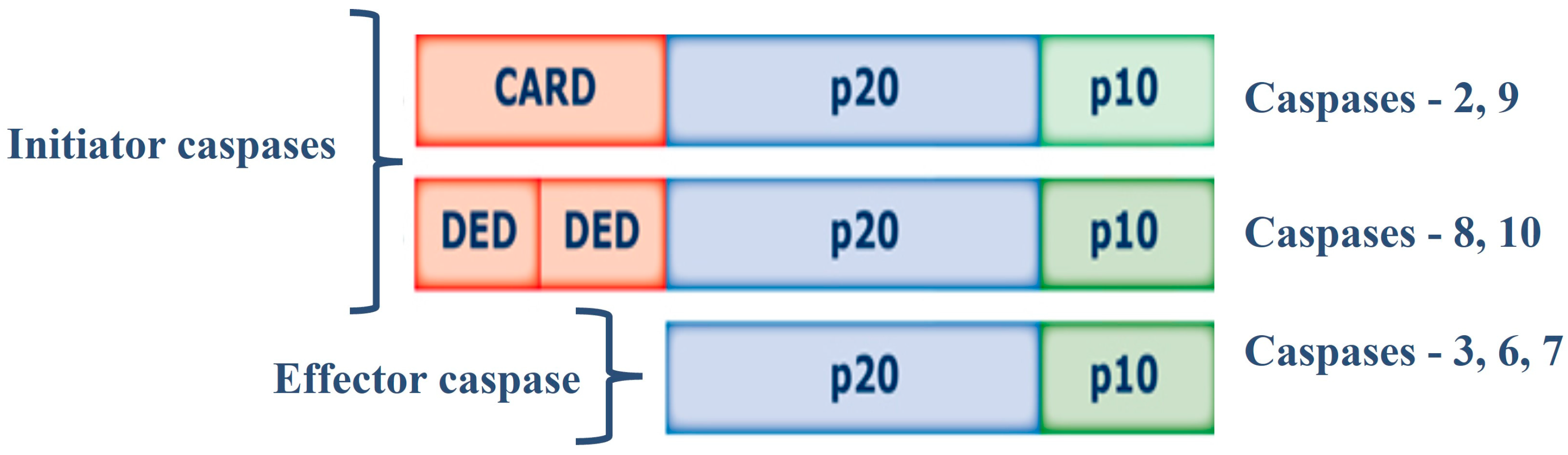 Preprints 92188 g001