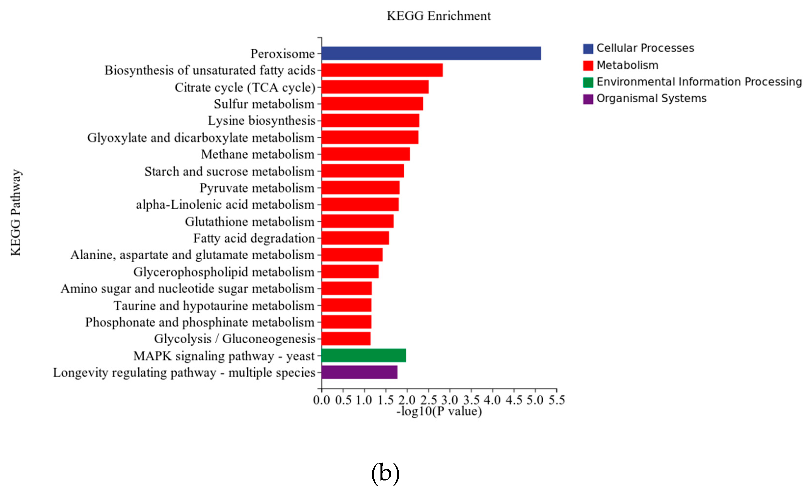 Preprints 92197 g004b