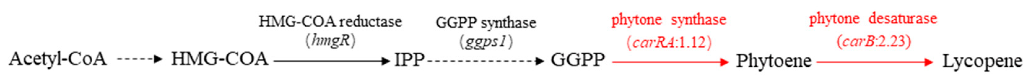 Preprints 92197 g005