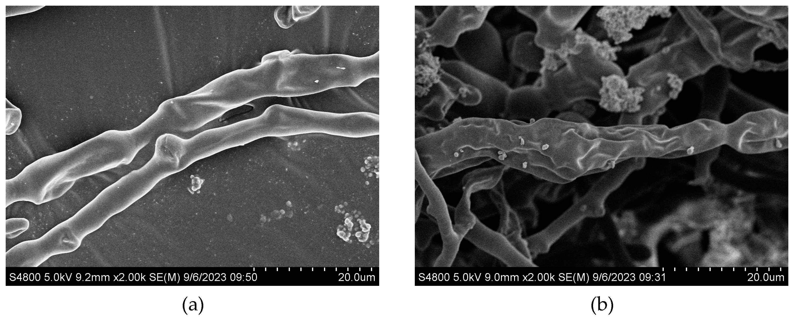 Preprints 92197 g006a