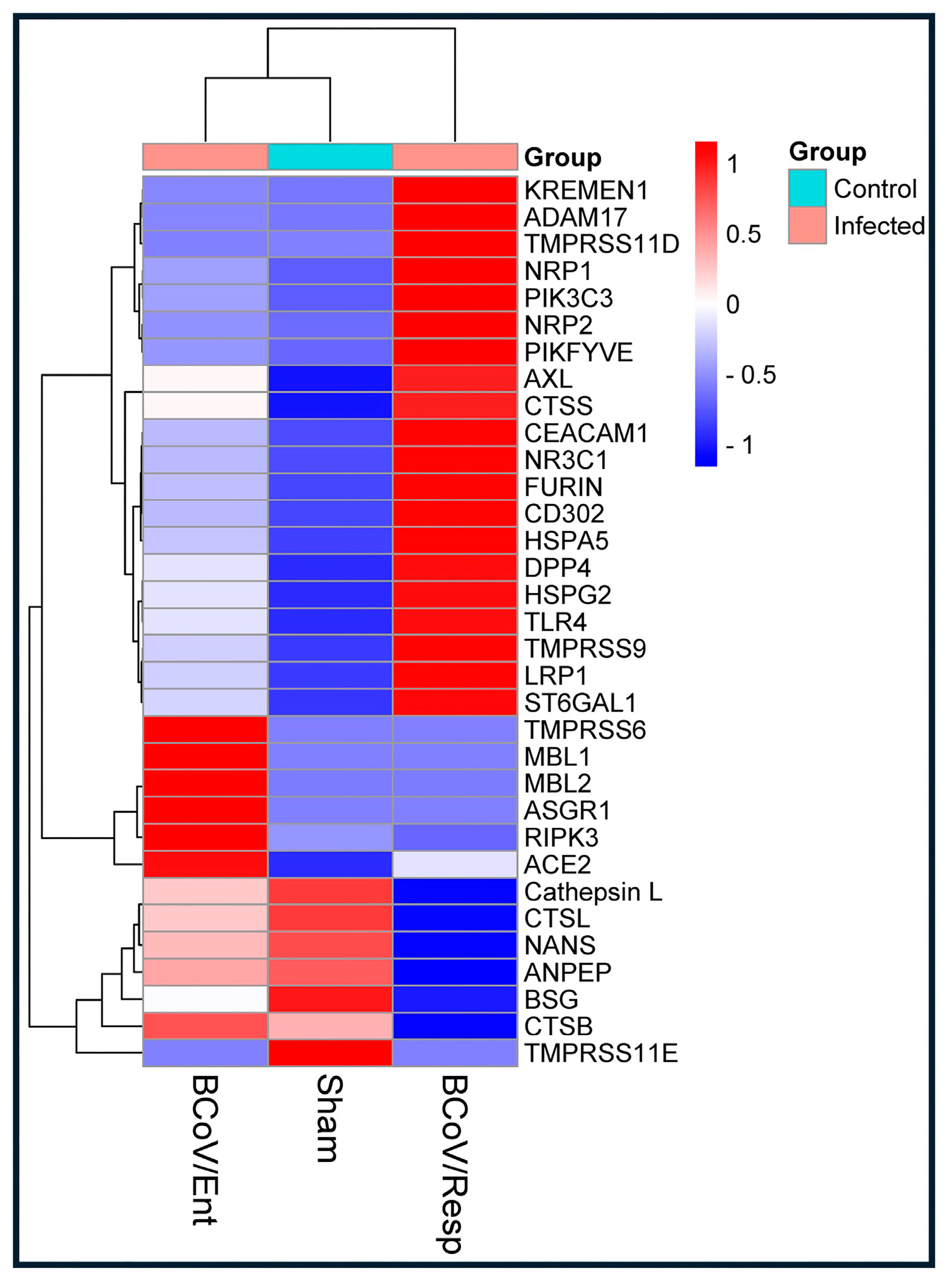 Preprints 117052 g002