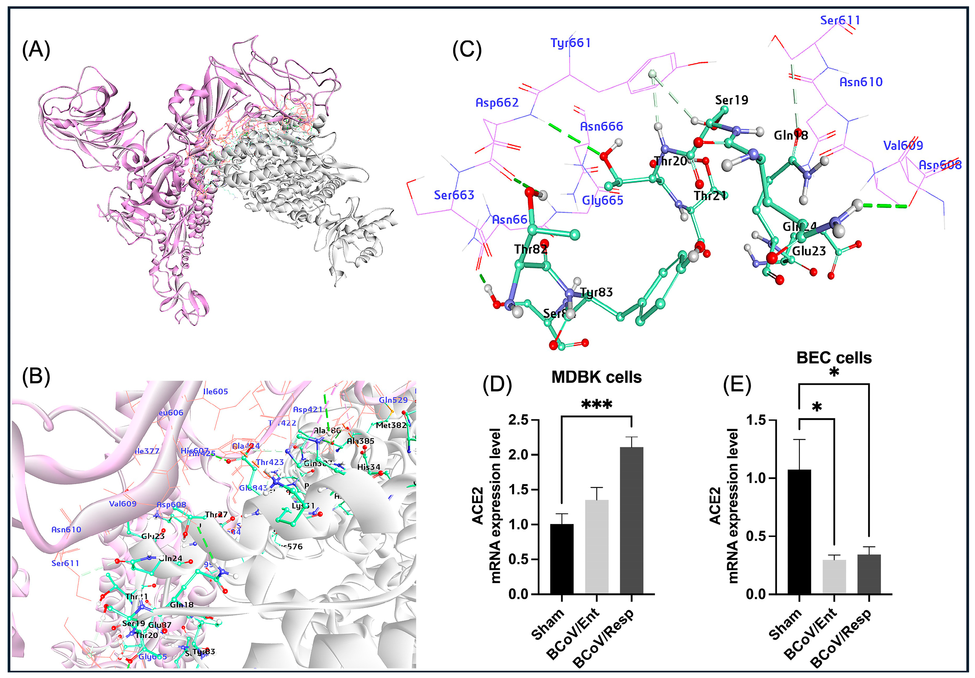 Preprints 117052 g005