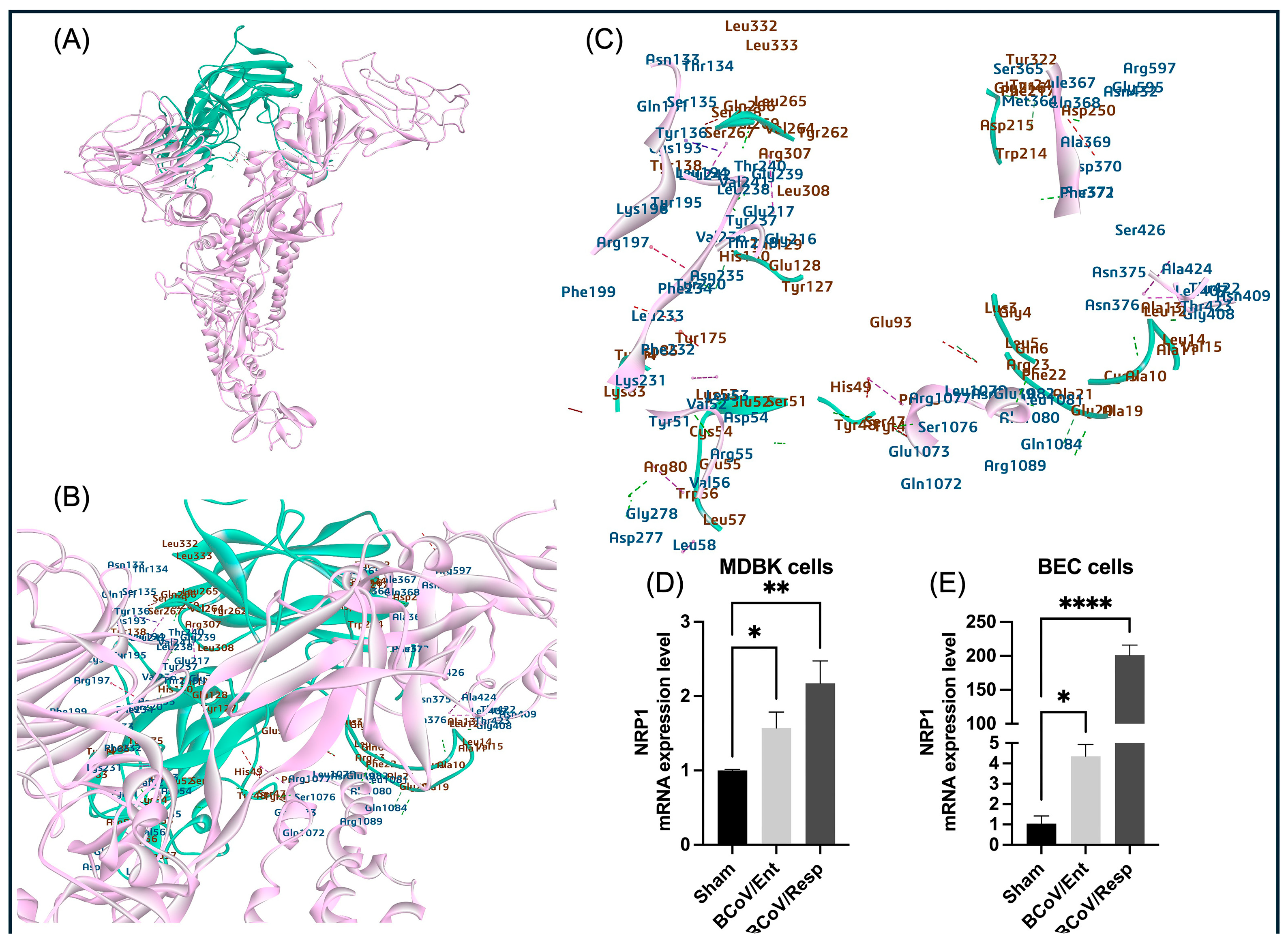 Preprints 117052 g006