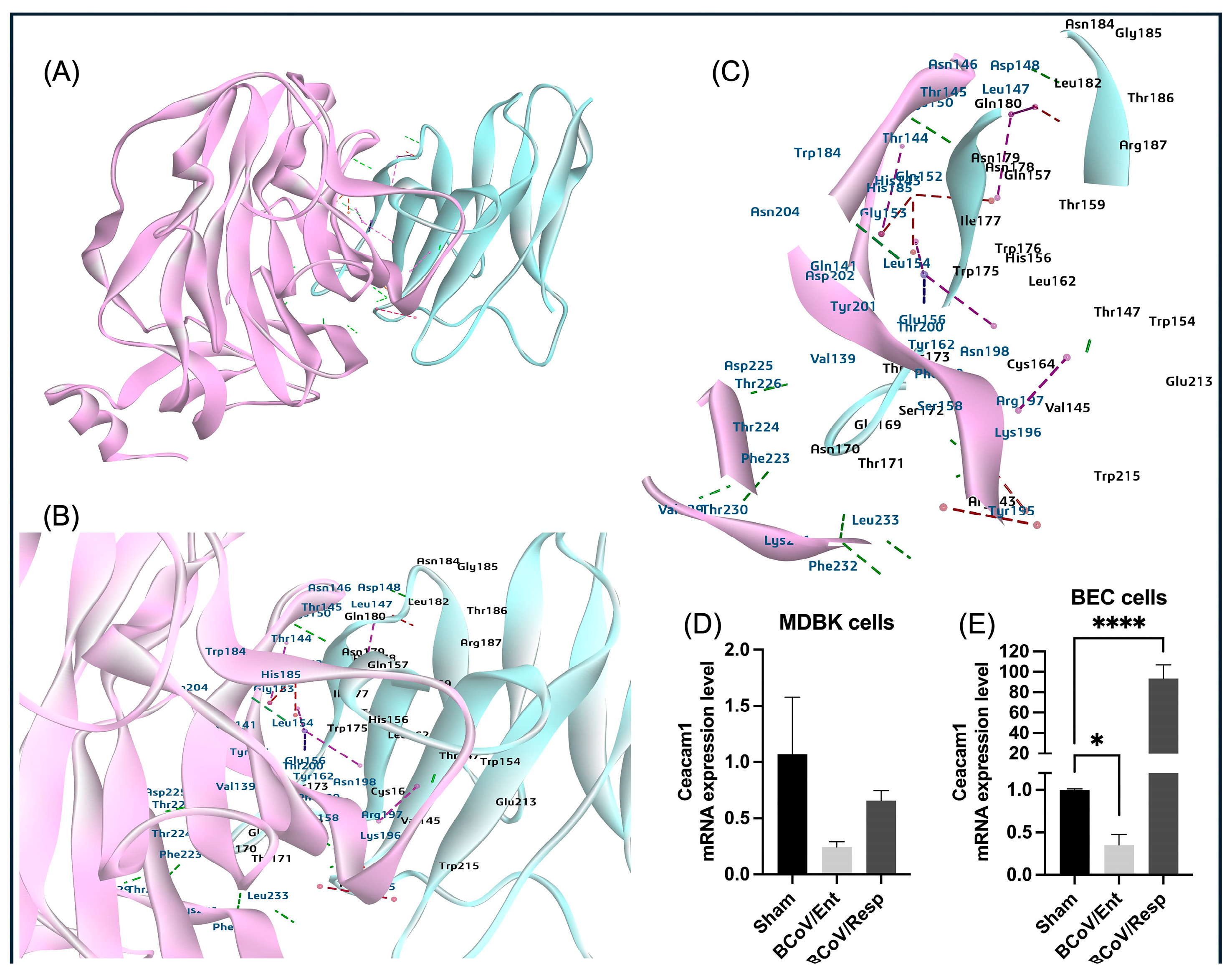 Preprints 117052 g007