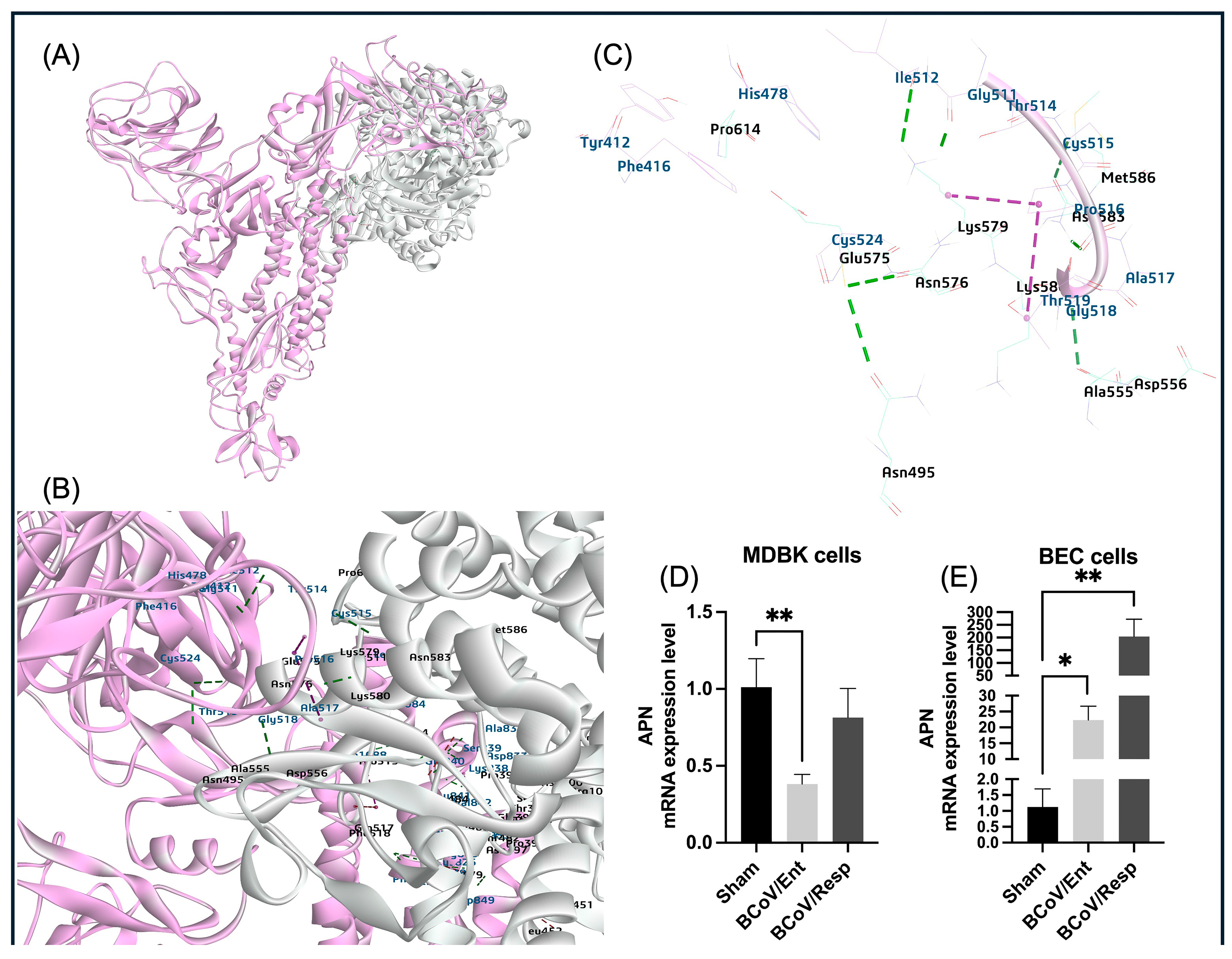 Preprints 117052 g008