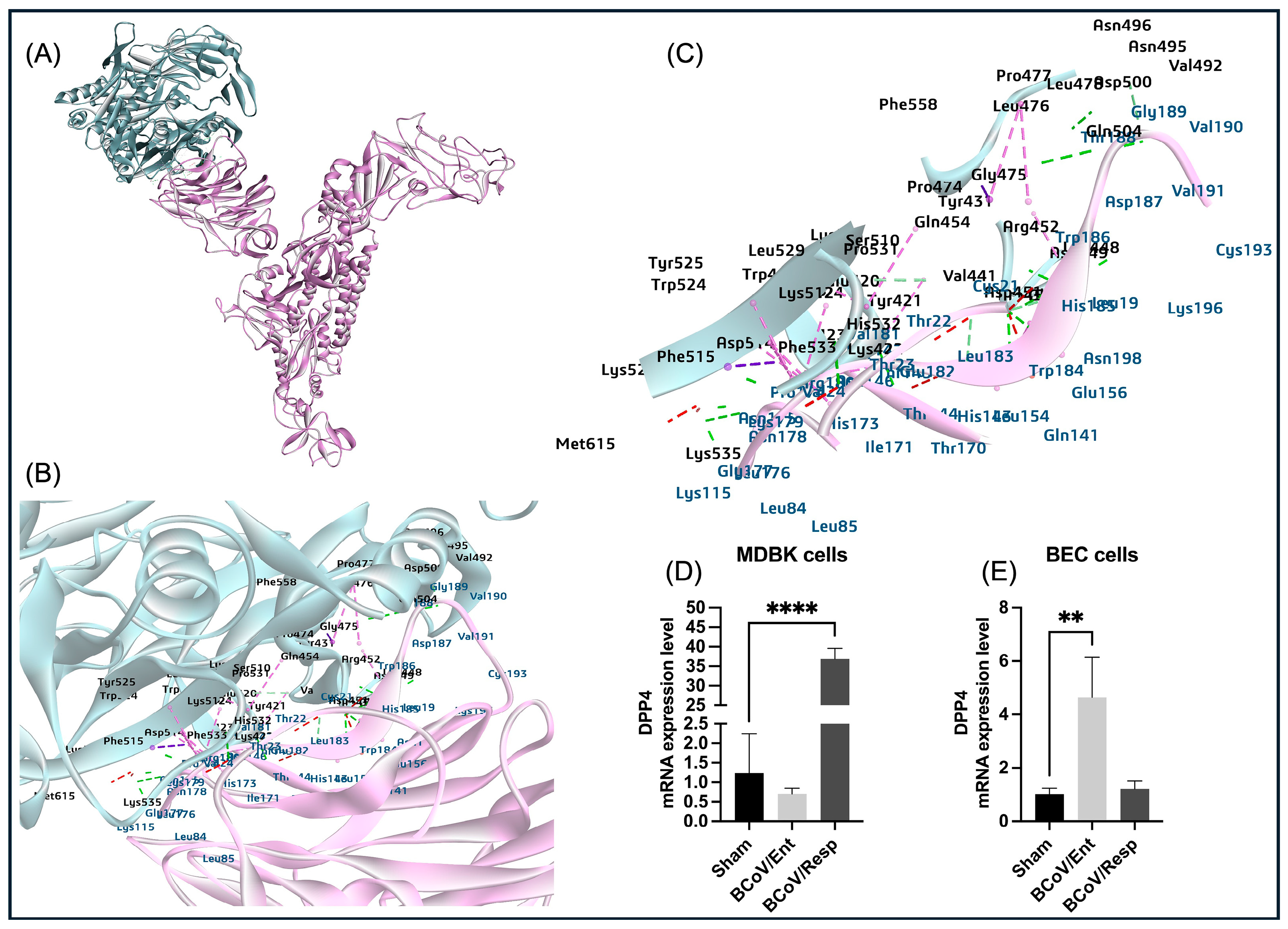 Preprints 117052 g009