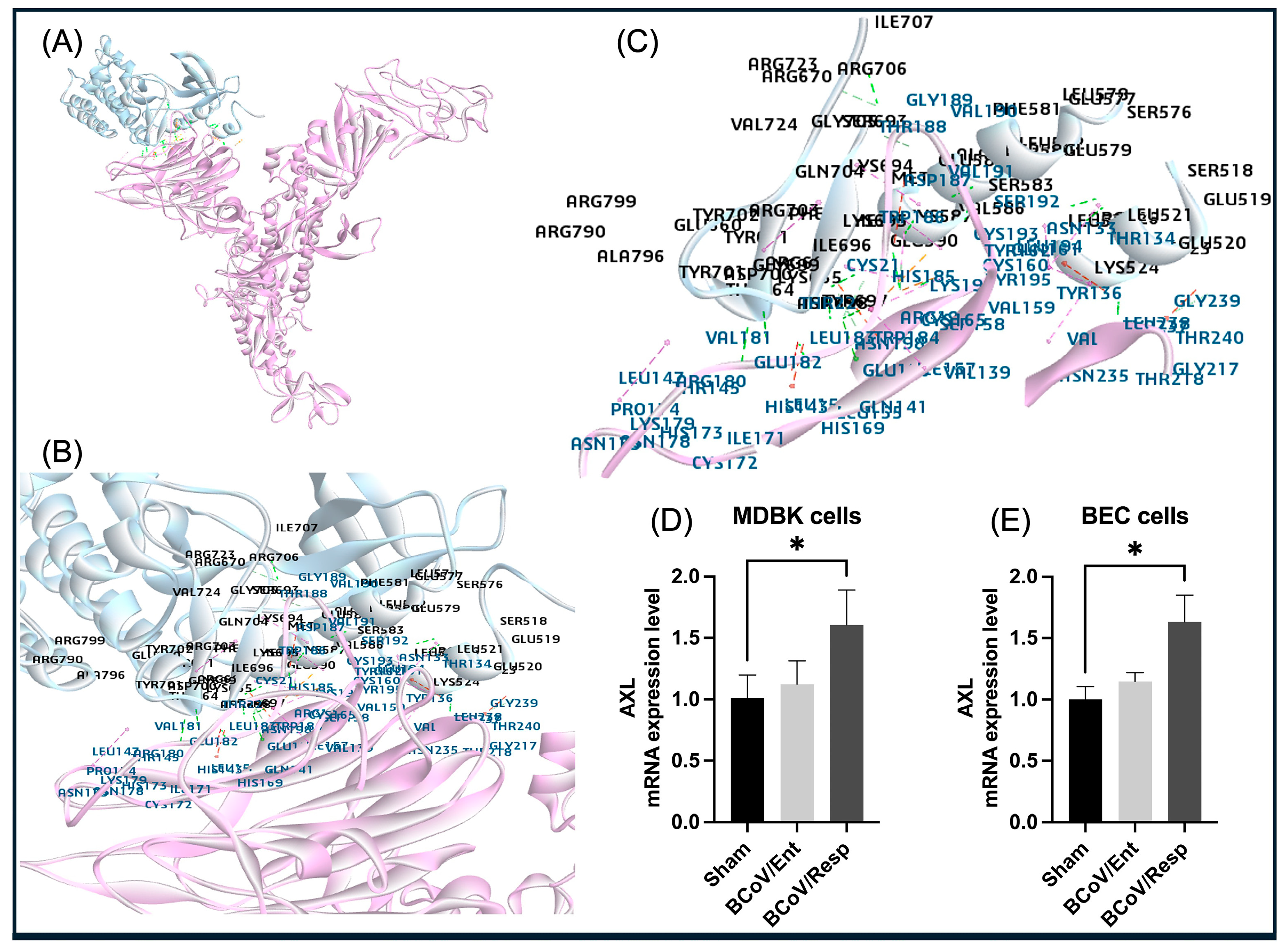 Preprints 117052 g010