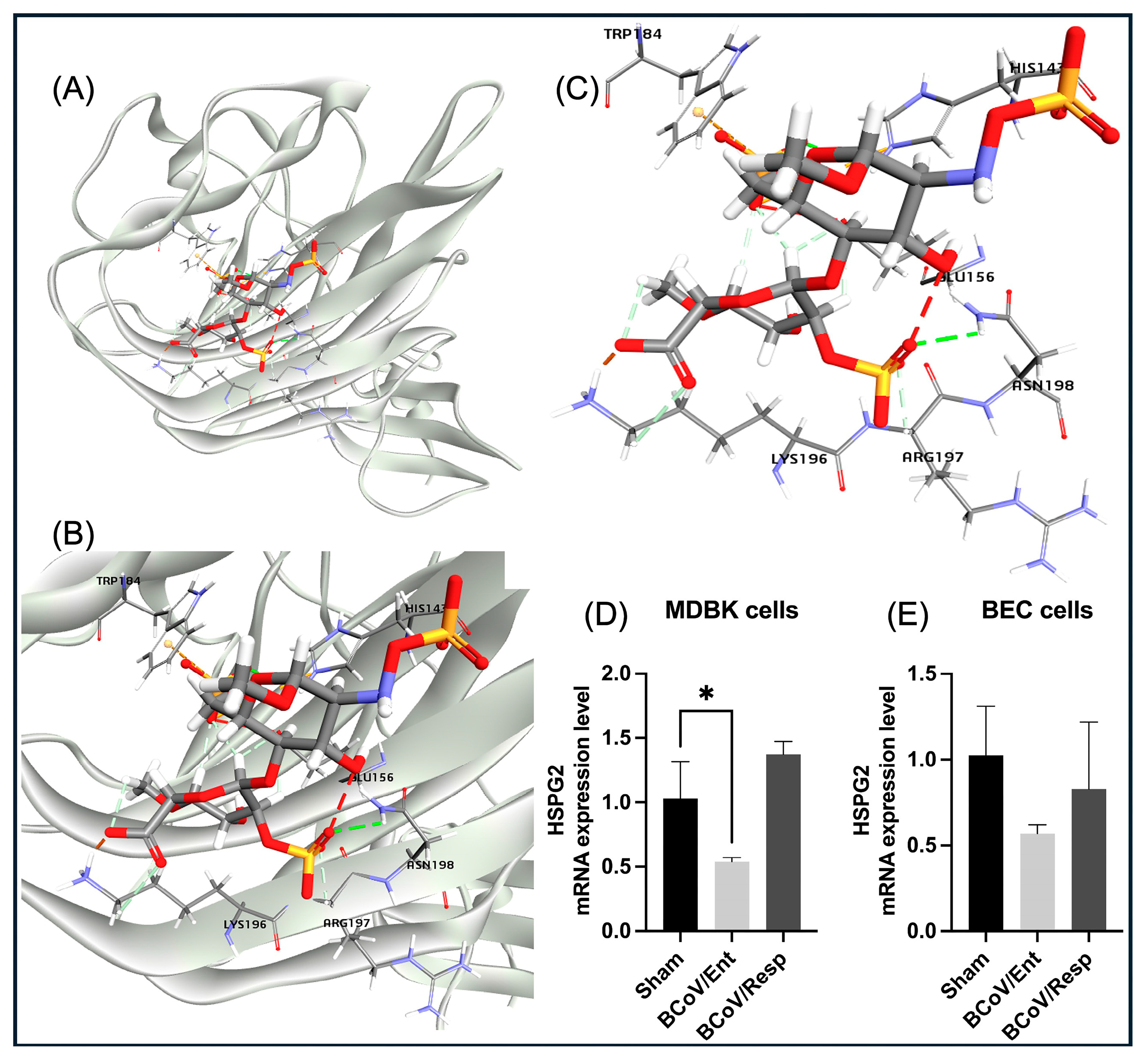 Preprints 117052 g011