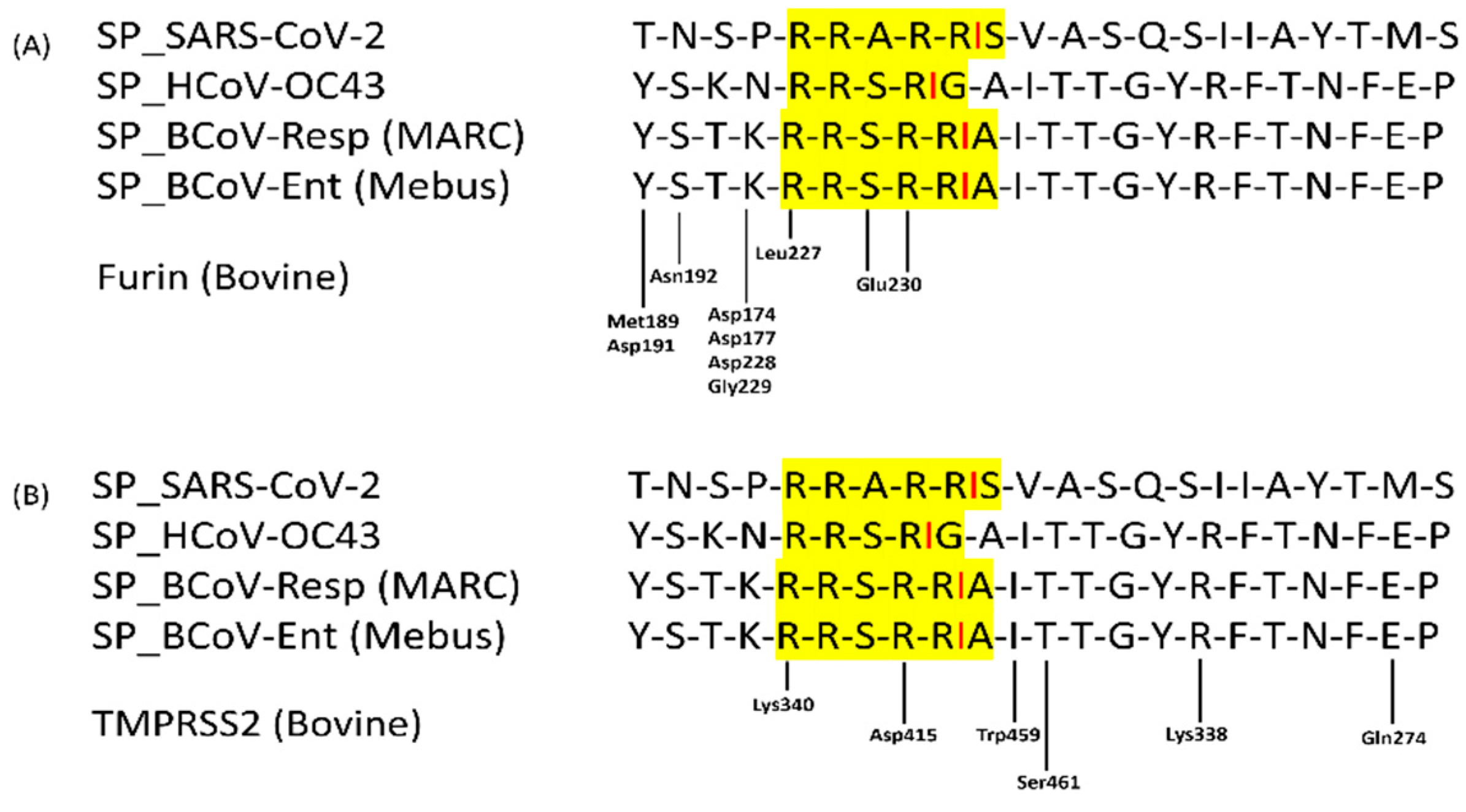 Preprints 117052 g012