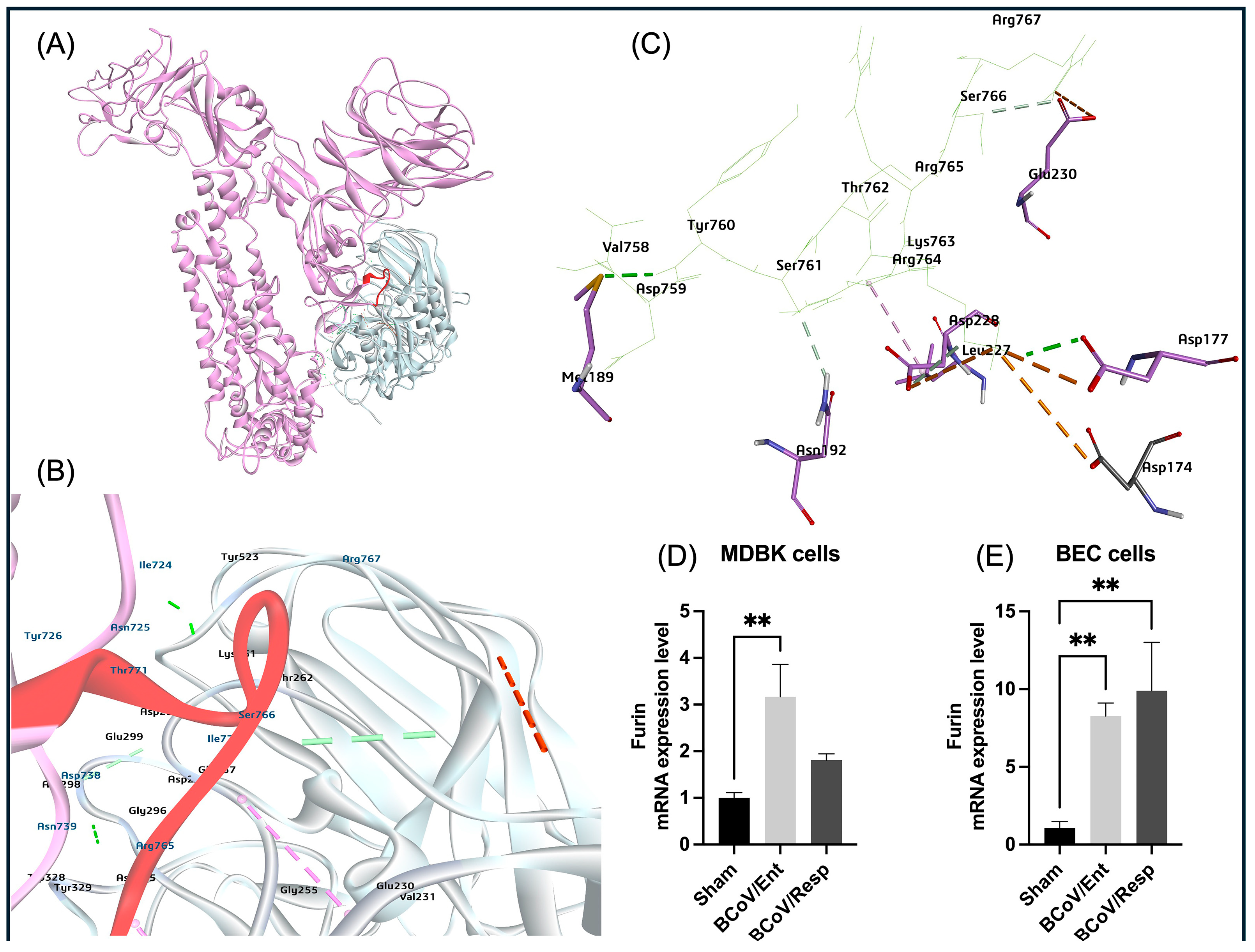 Preprints 117052 g013