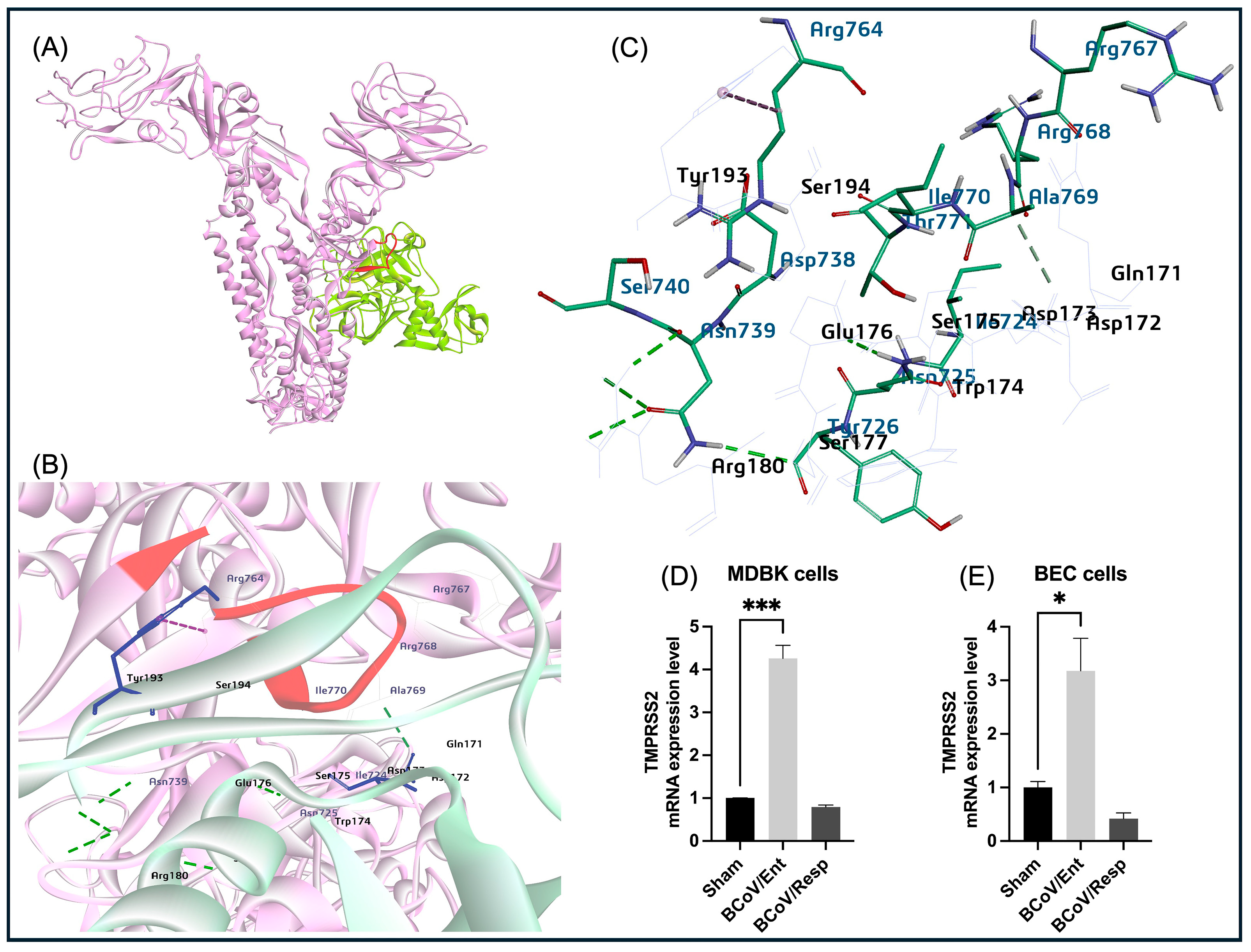 Preprints 117052 g014