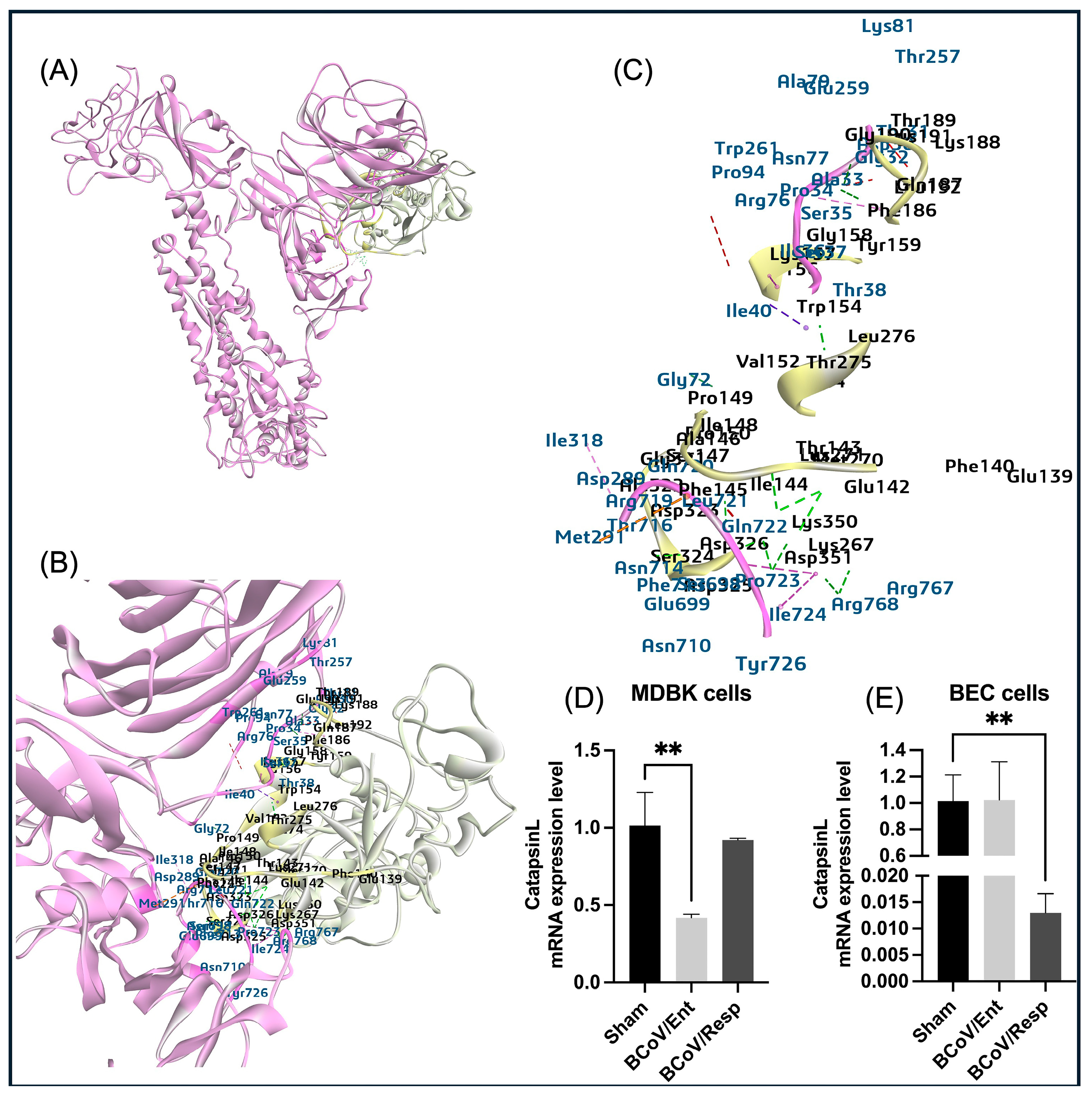 Preprints 117052 g015