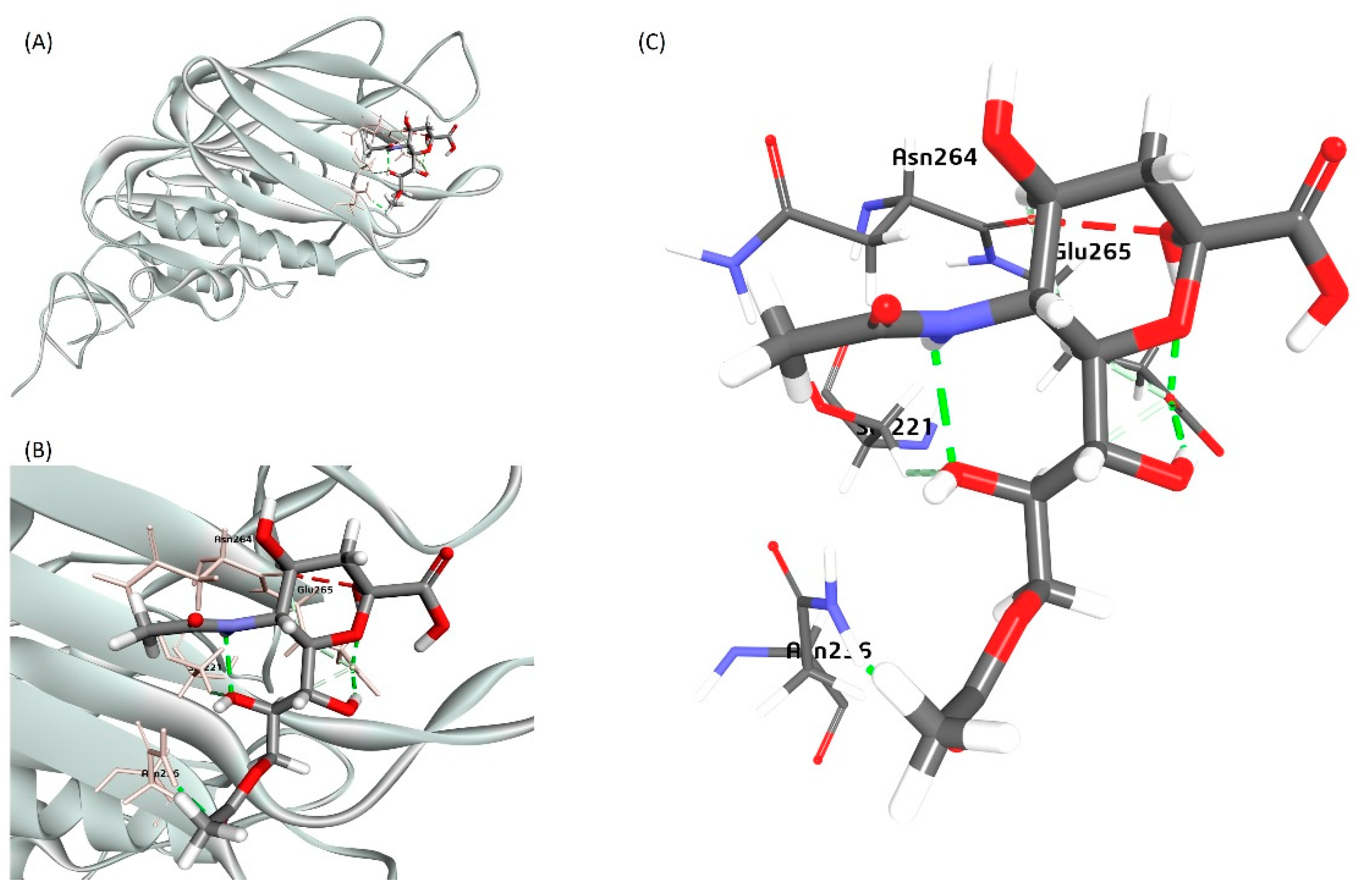 Preprints 117052 g016