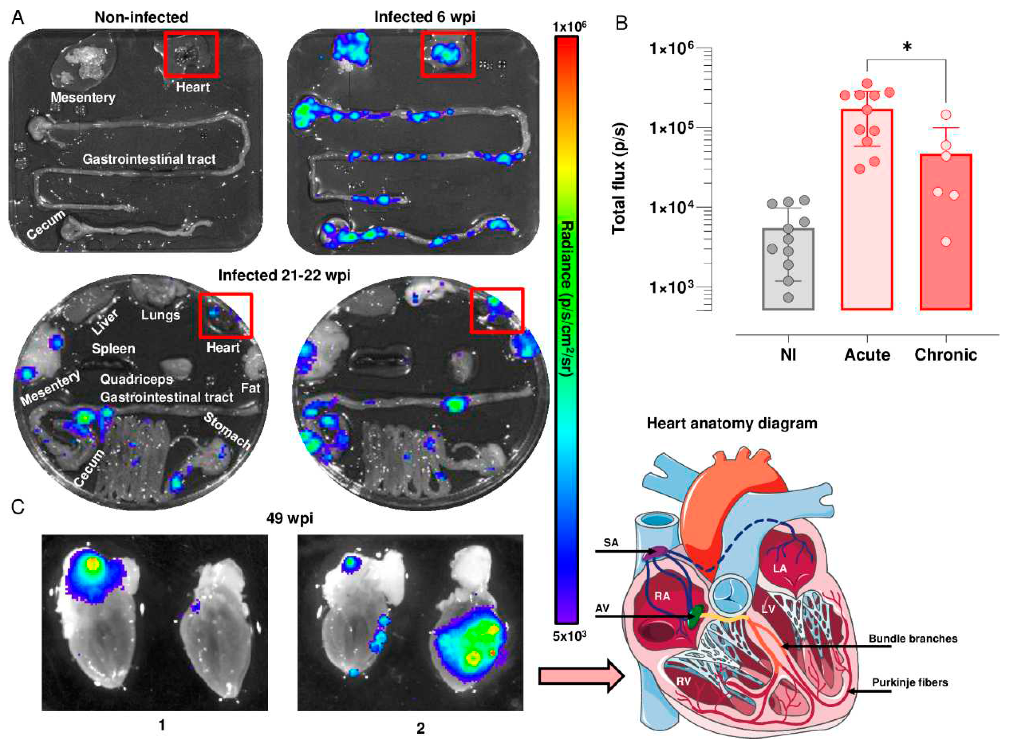 Preprints 87815 g002