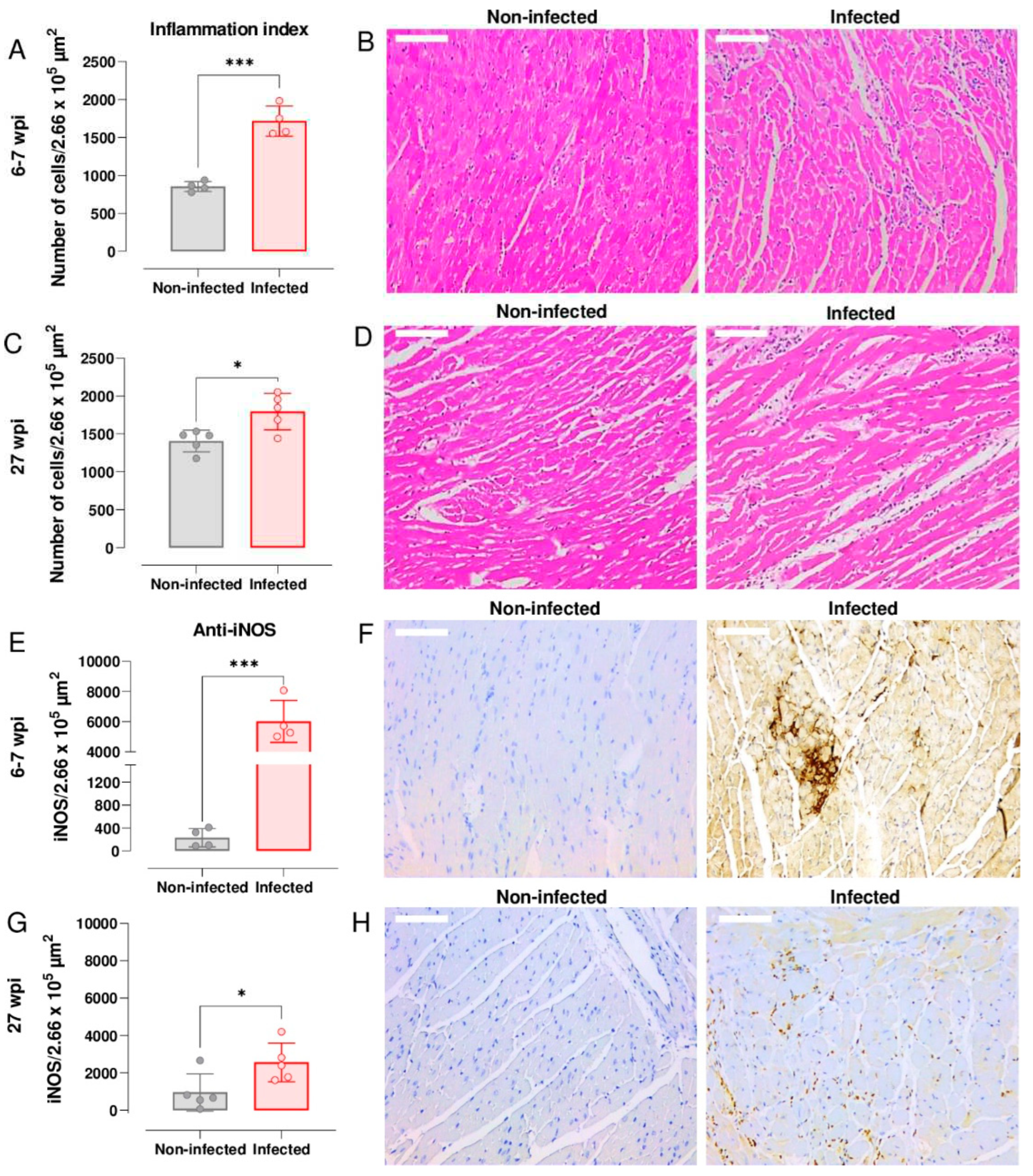 Preprints 87815 g003