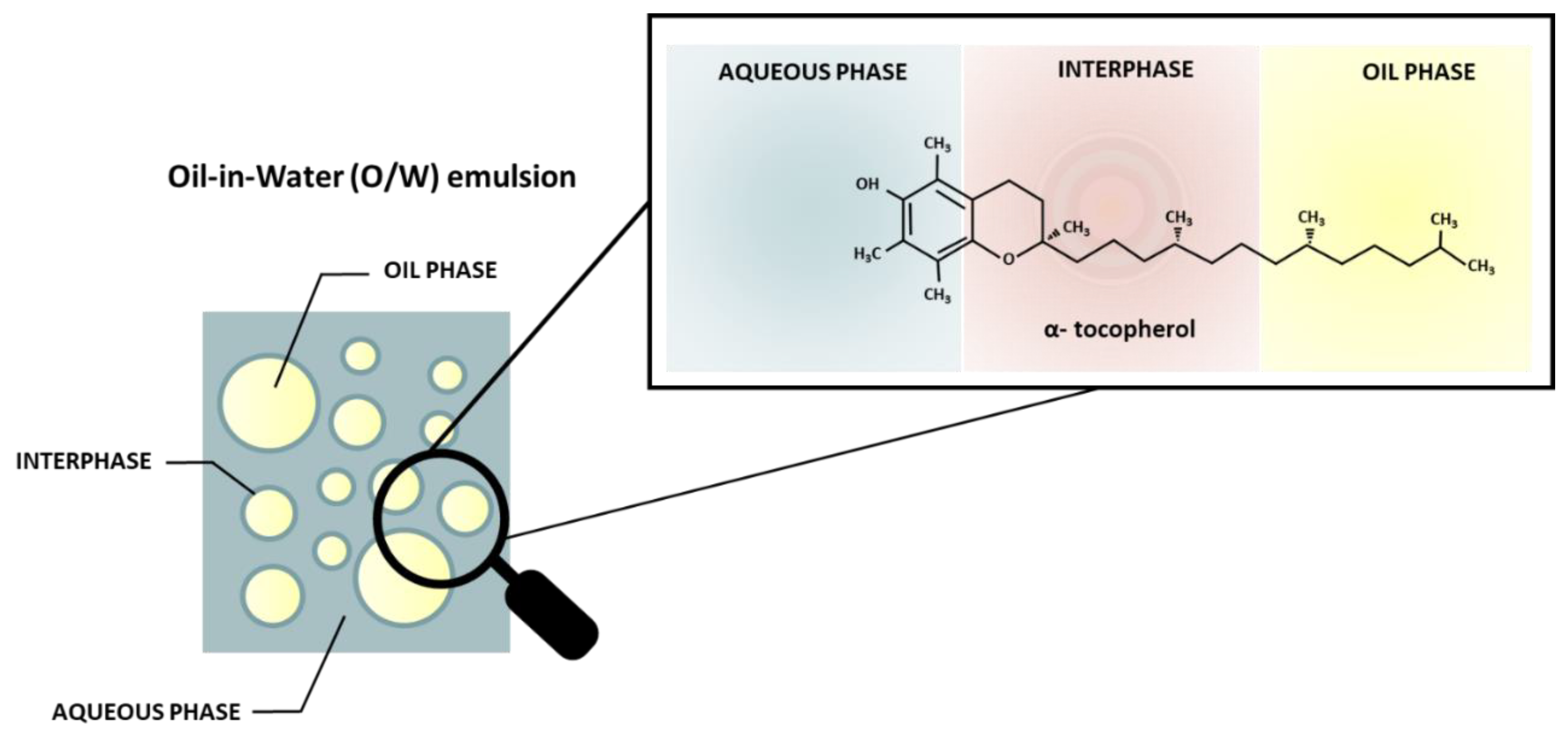 Preprints 104476 g002