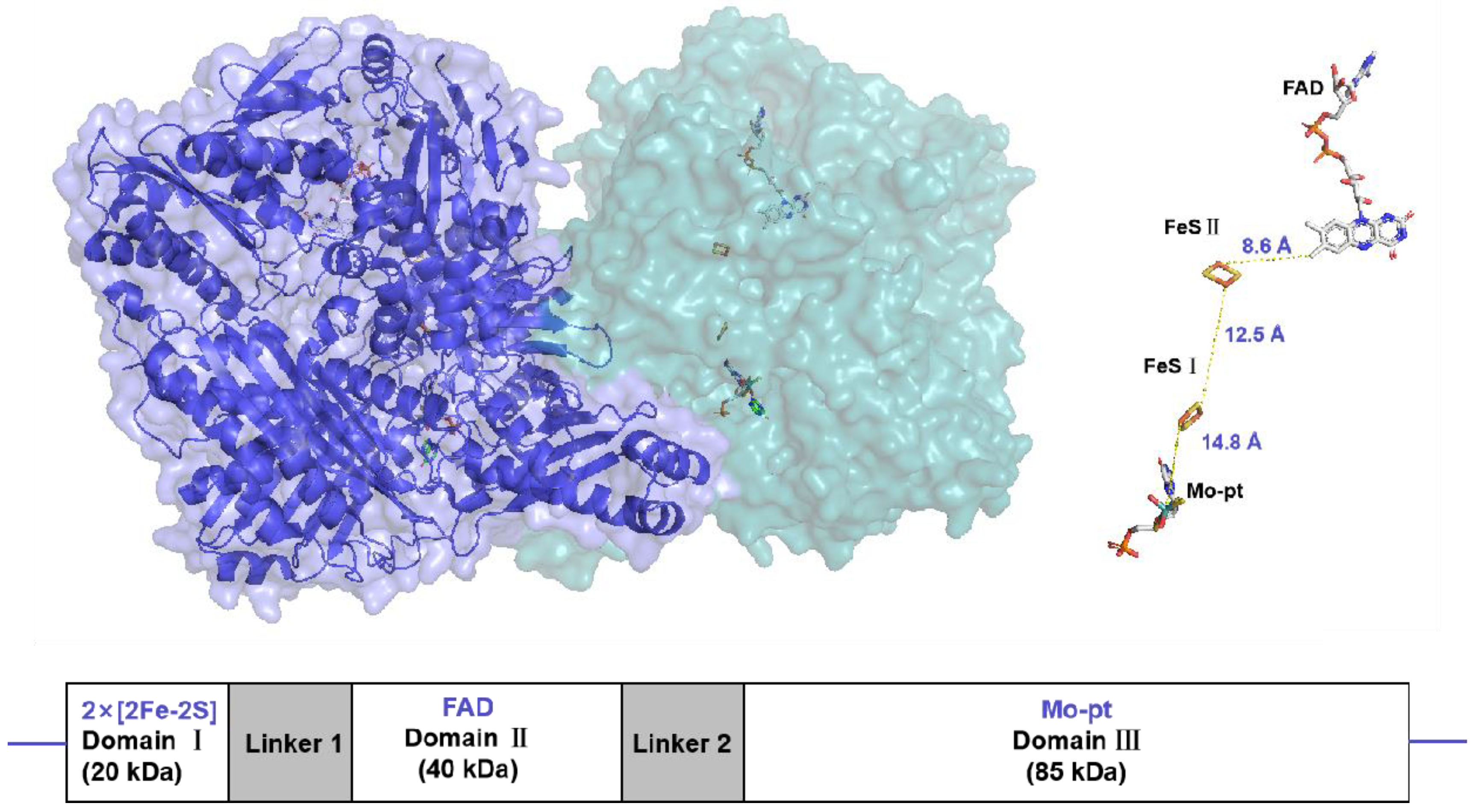 Preprints 138002 g001