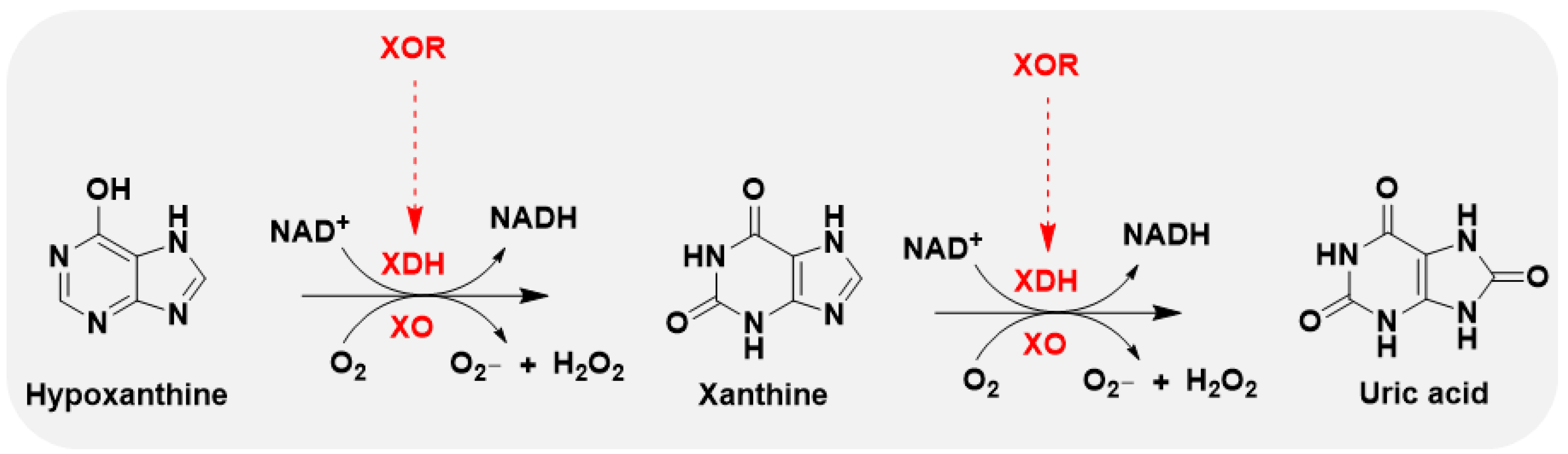 Preprints 138002 g002