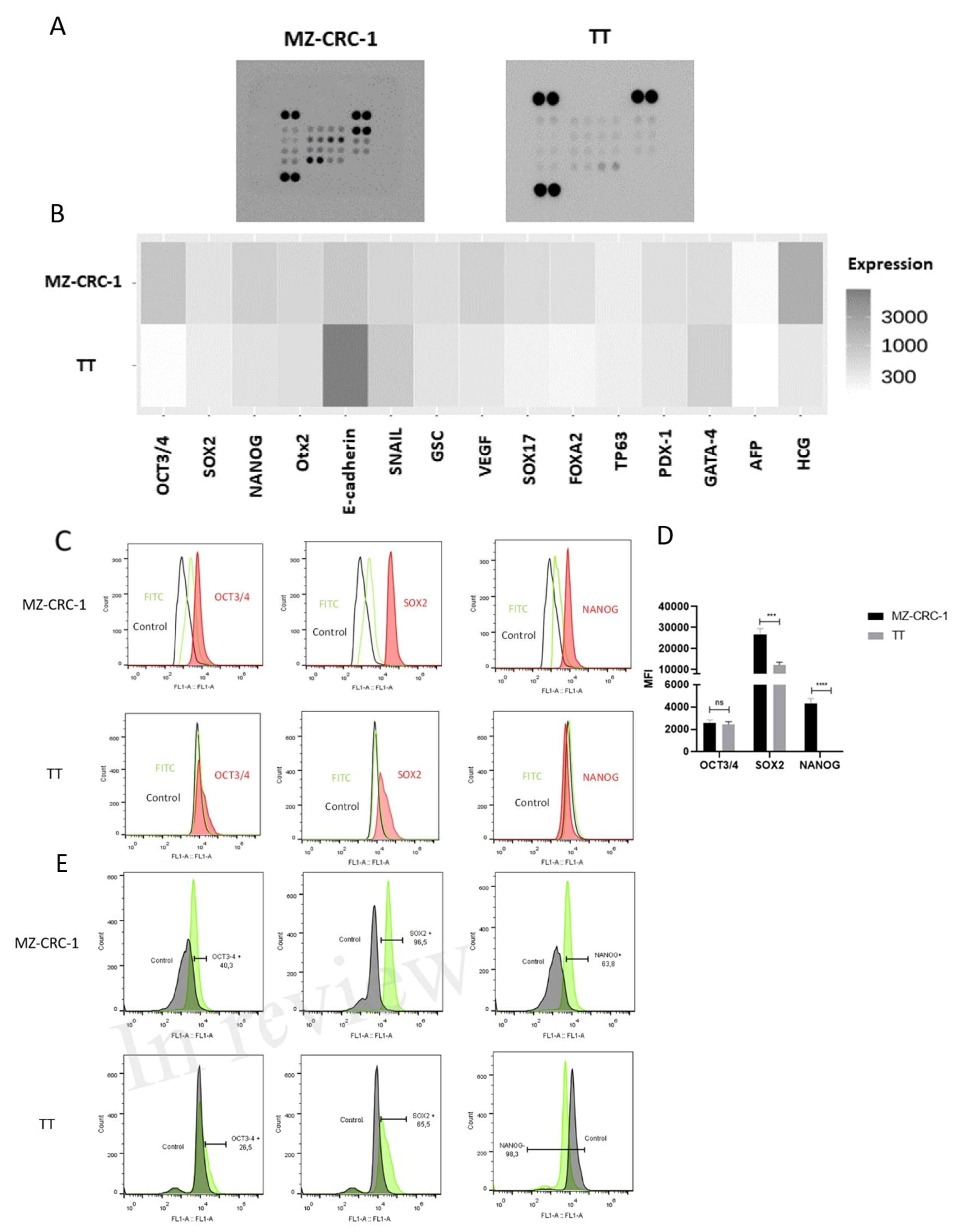 Preprints 120490 g001