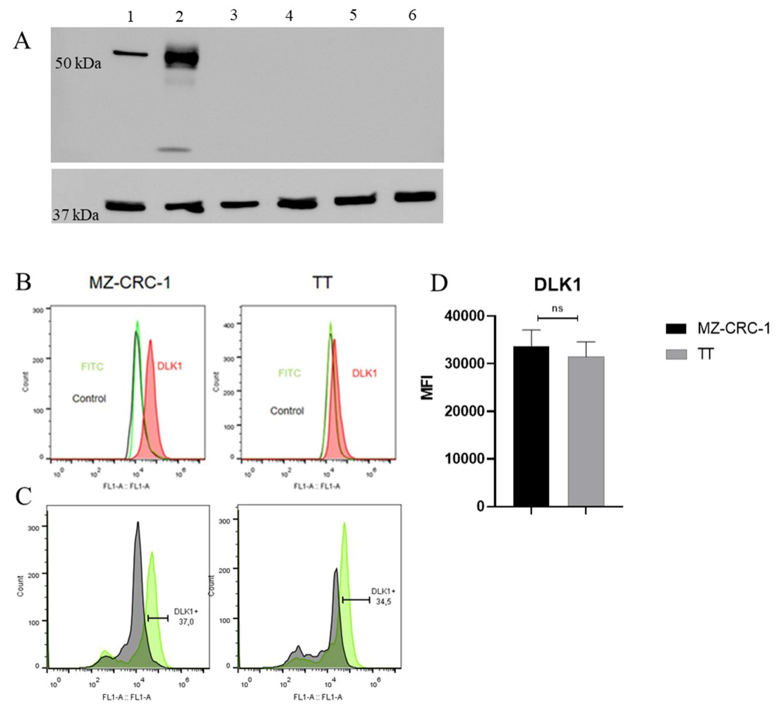 Preprints 120490 g003