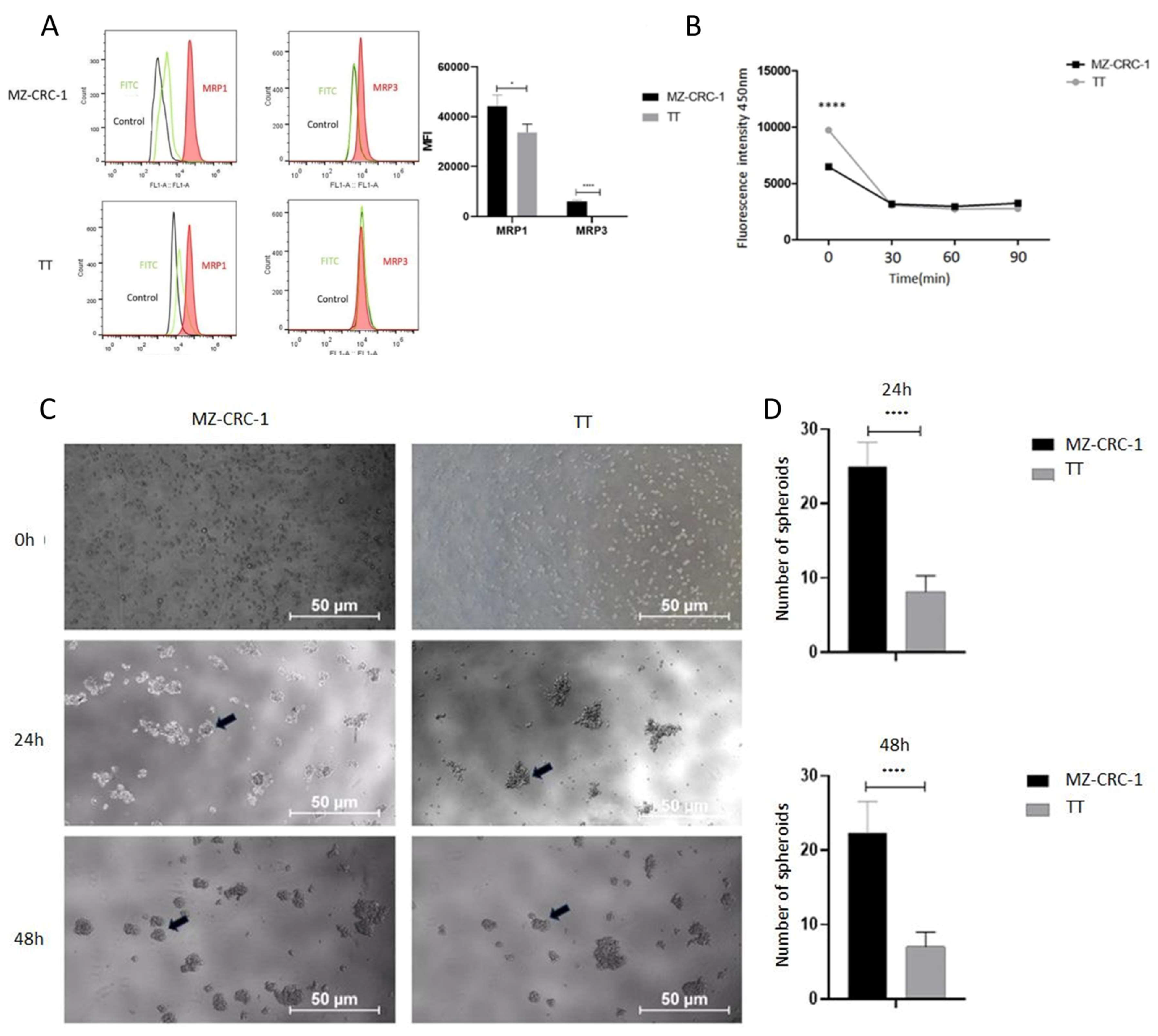 Preprints 120490 g004