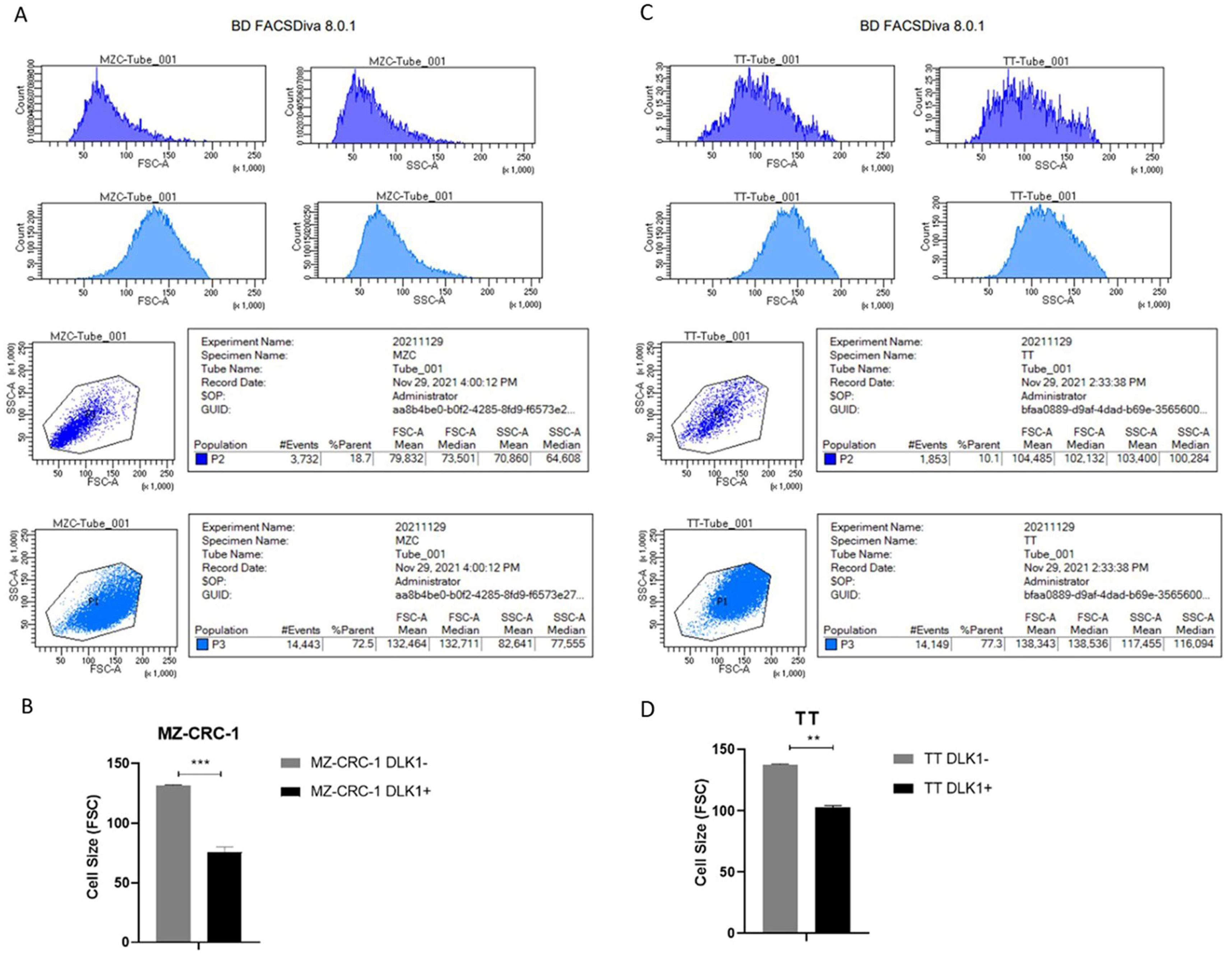 Preprints 120490 g005