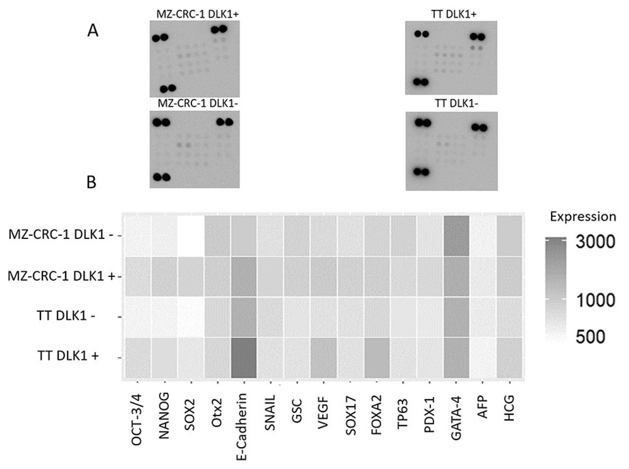 Preprints 120490 g006