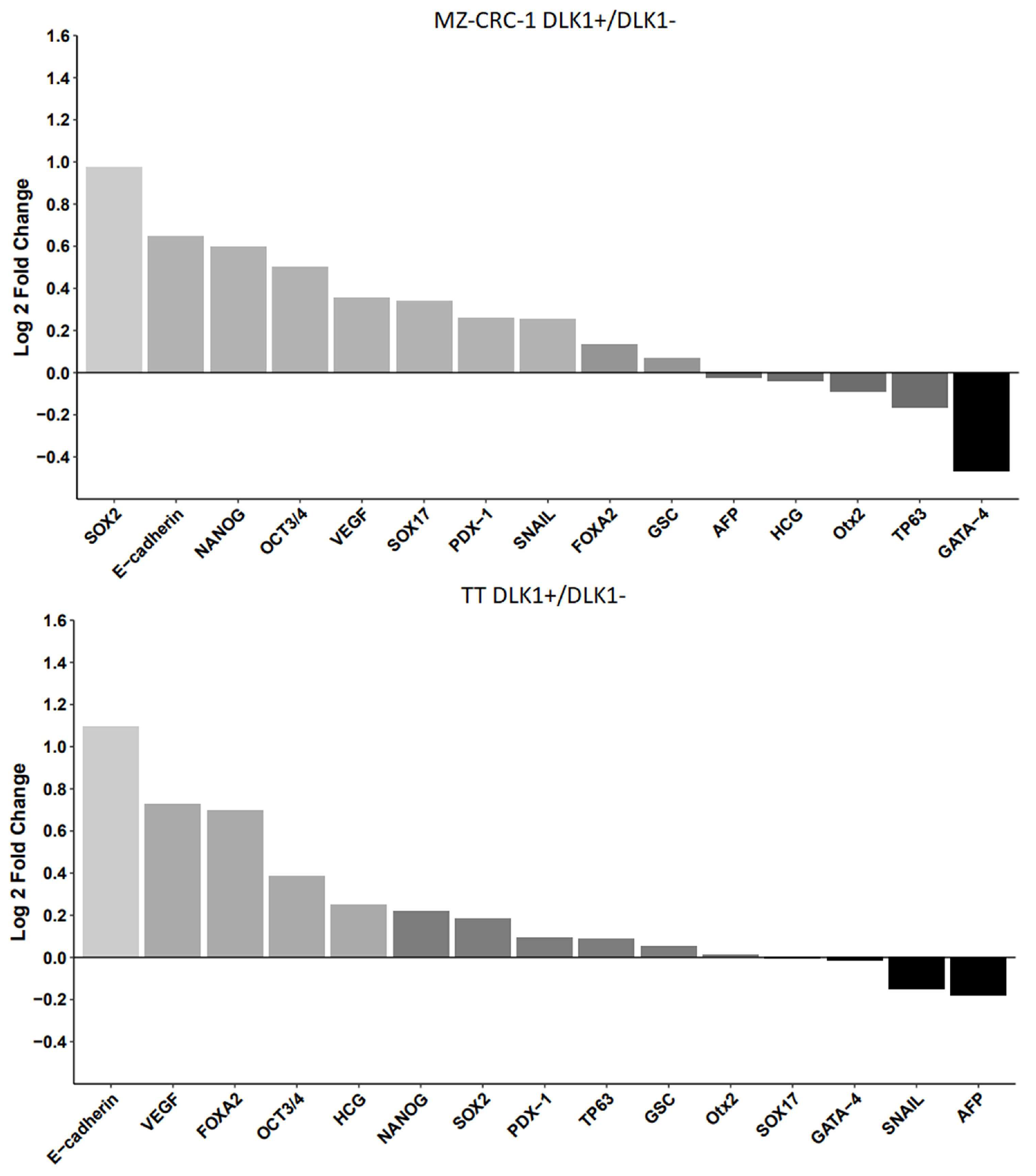 Preprints 120490 g007