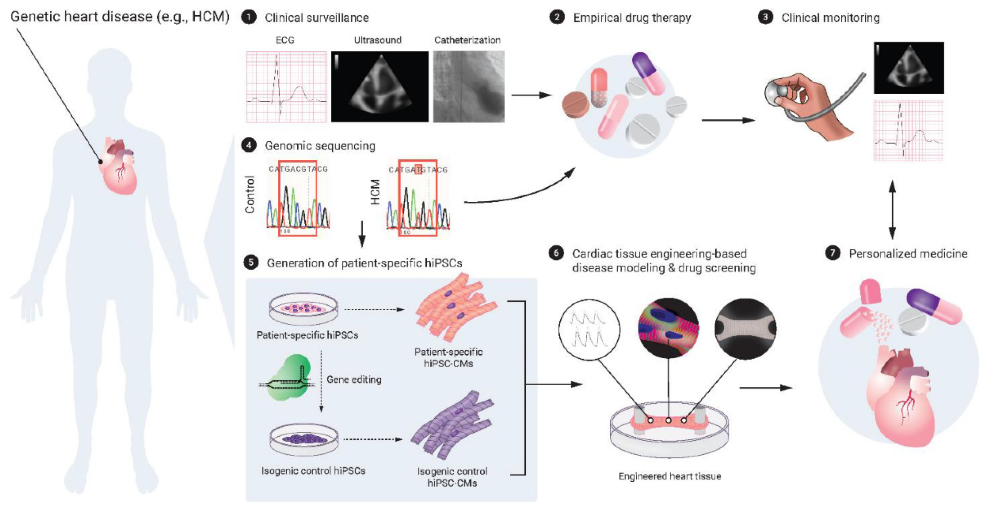 Preprints 75516 g002