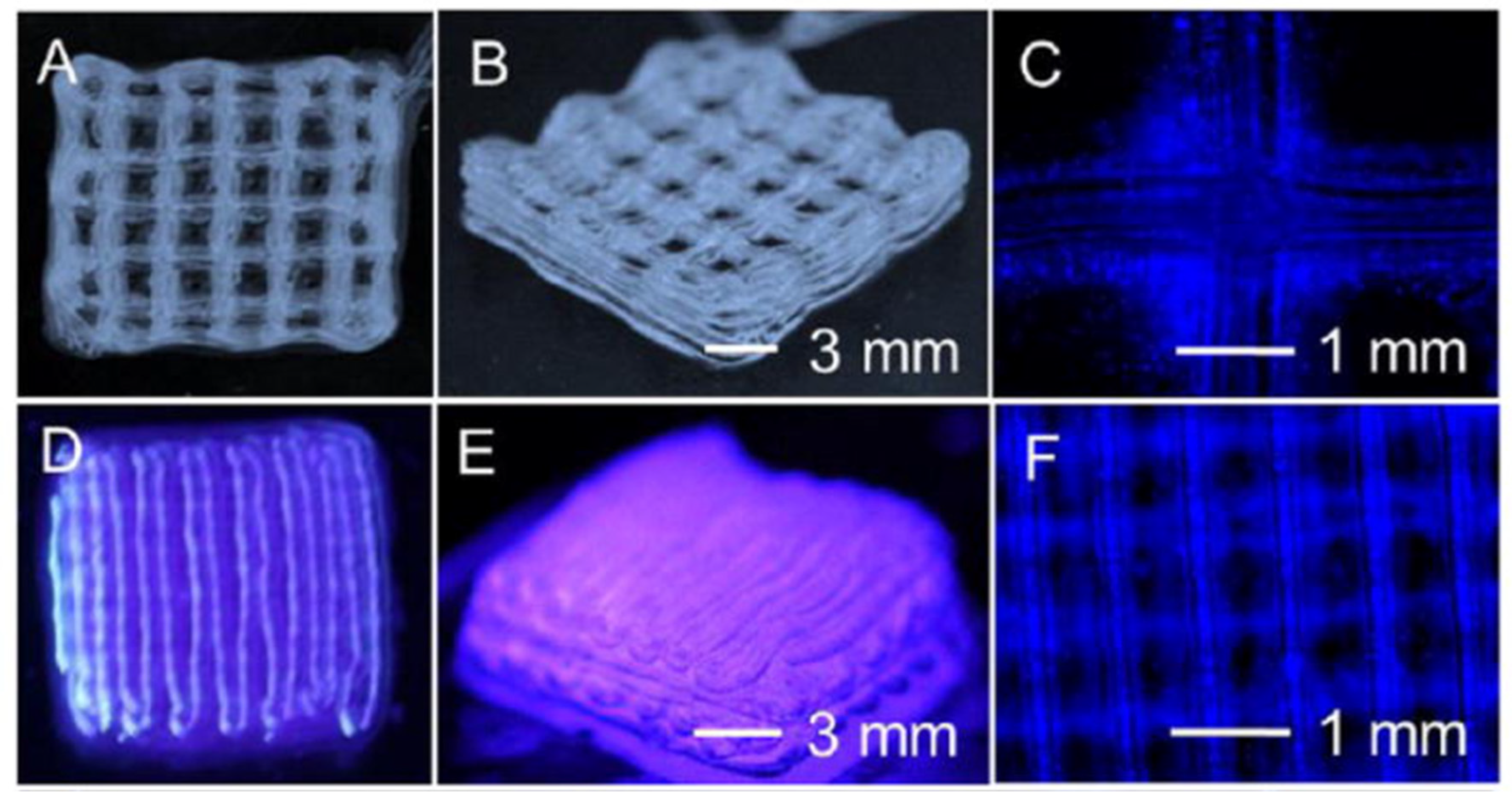 Preprints 75516 g006