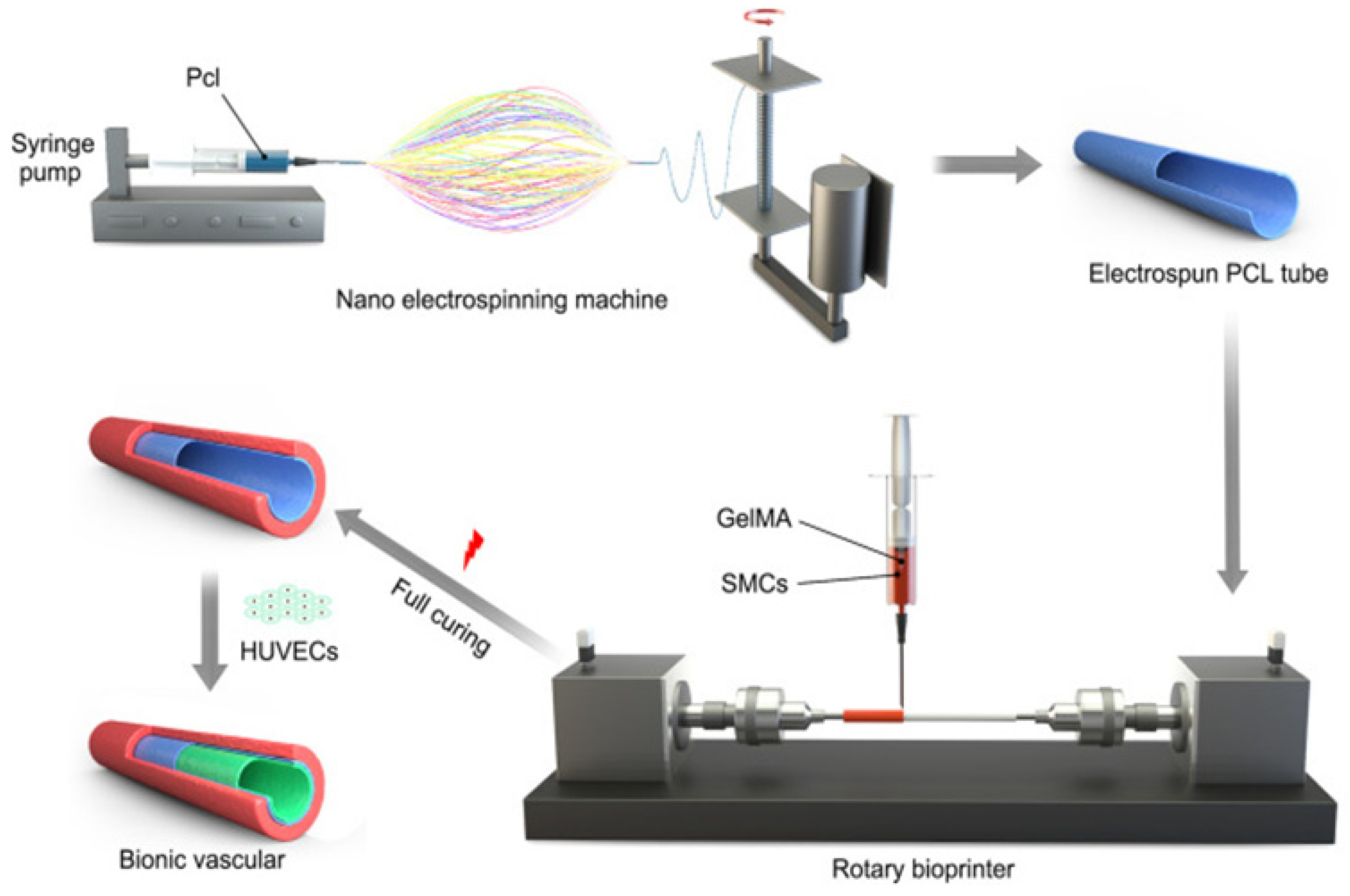 Preprints 75516 g007