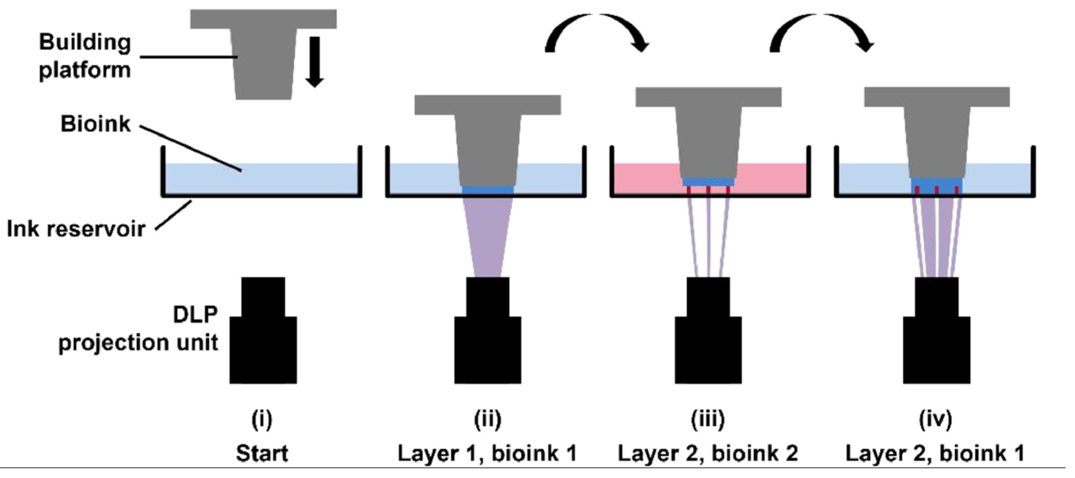 Preprints 75516 g008