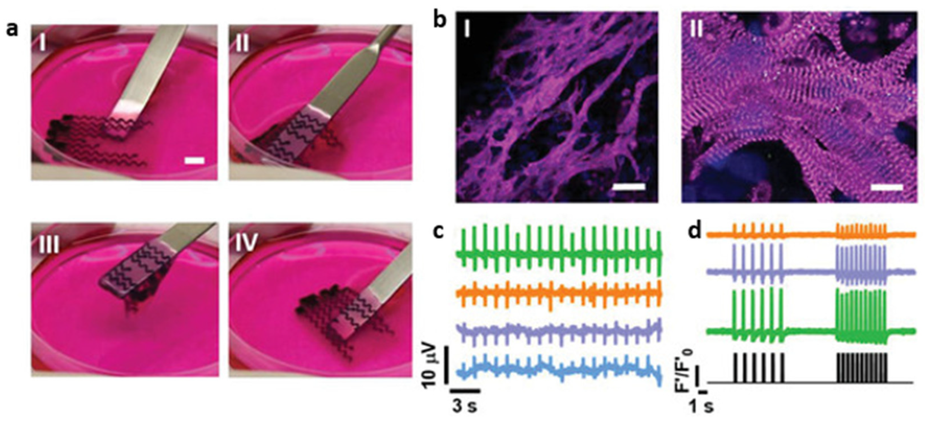 Preprints 75516 g010