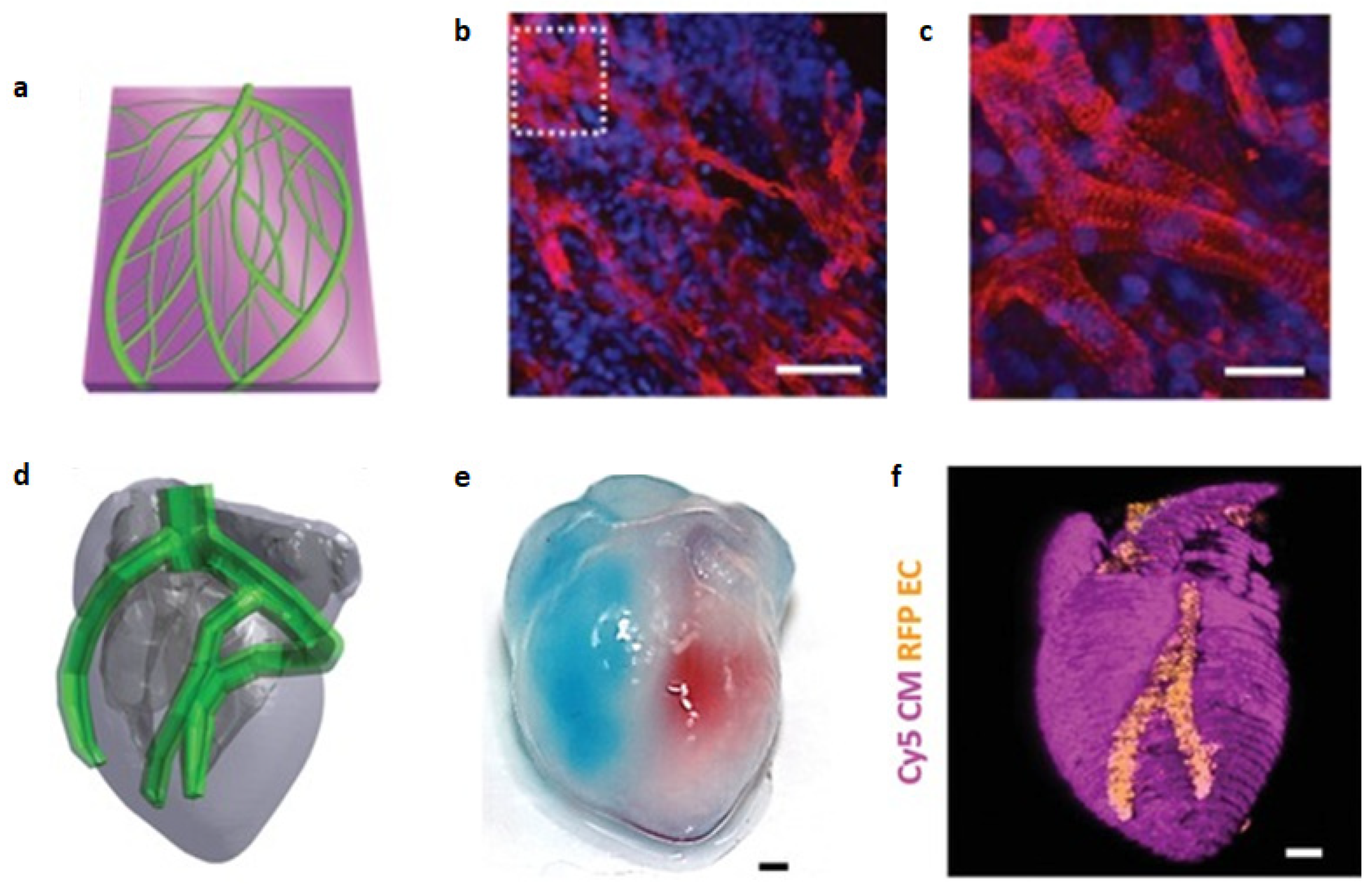 Preprints 75516 g012