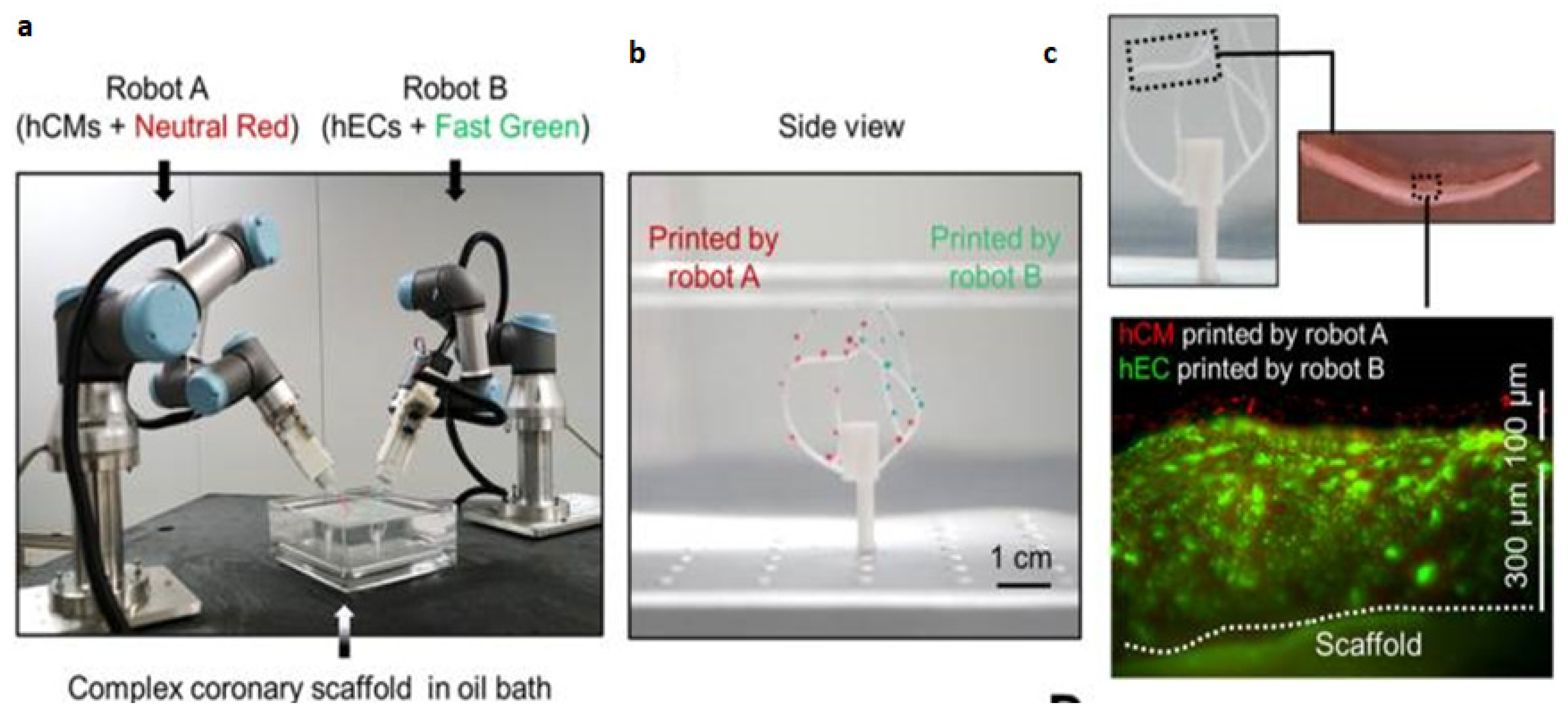 Preprints 75516 g013