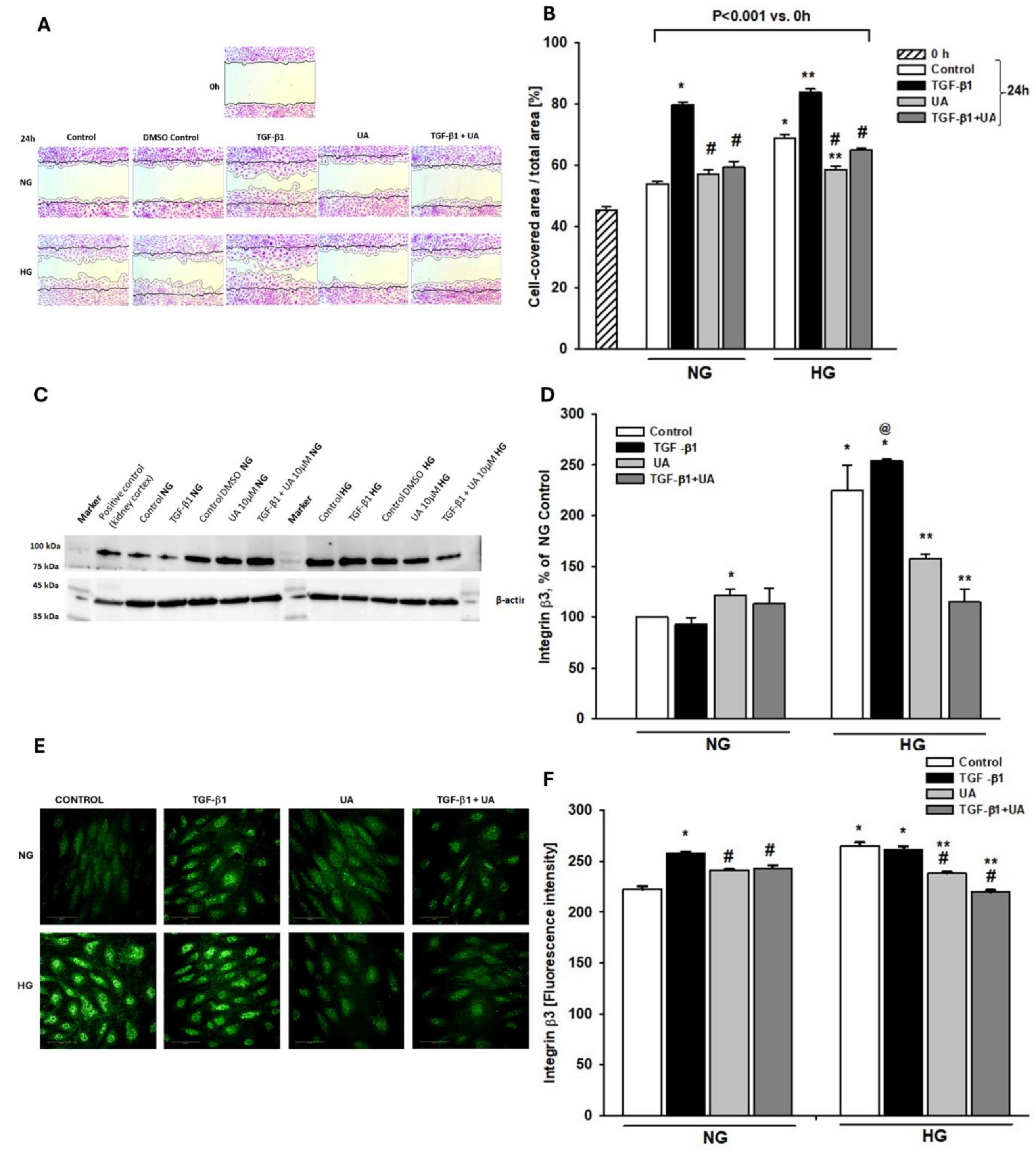 Preprints 111182 g003