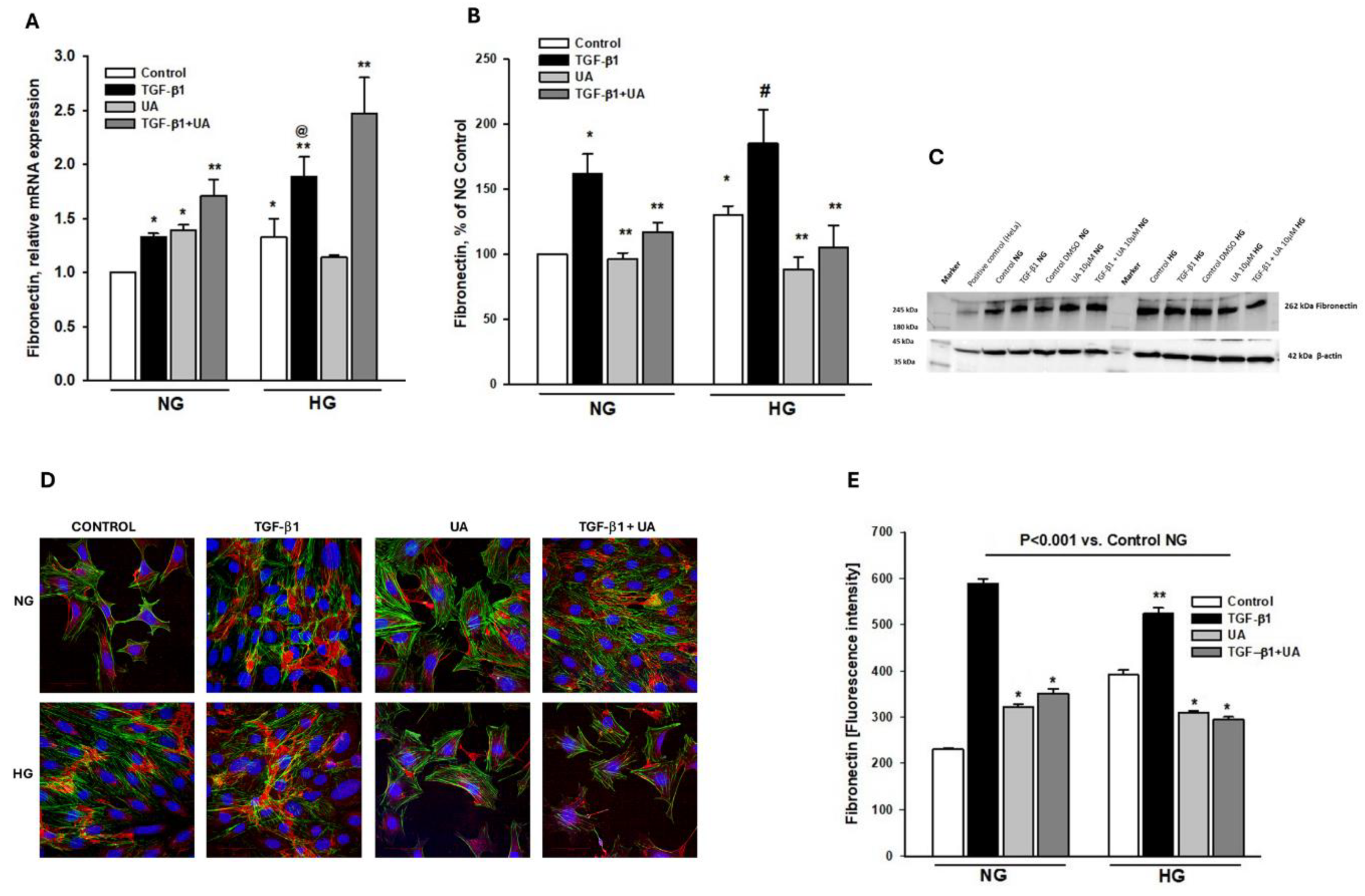 Preprints 111182 g004